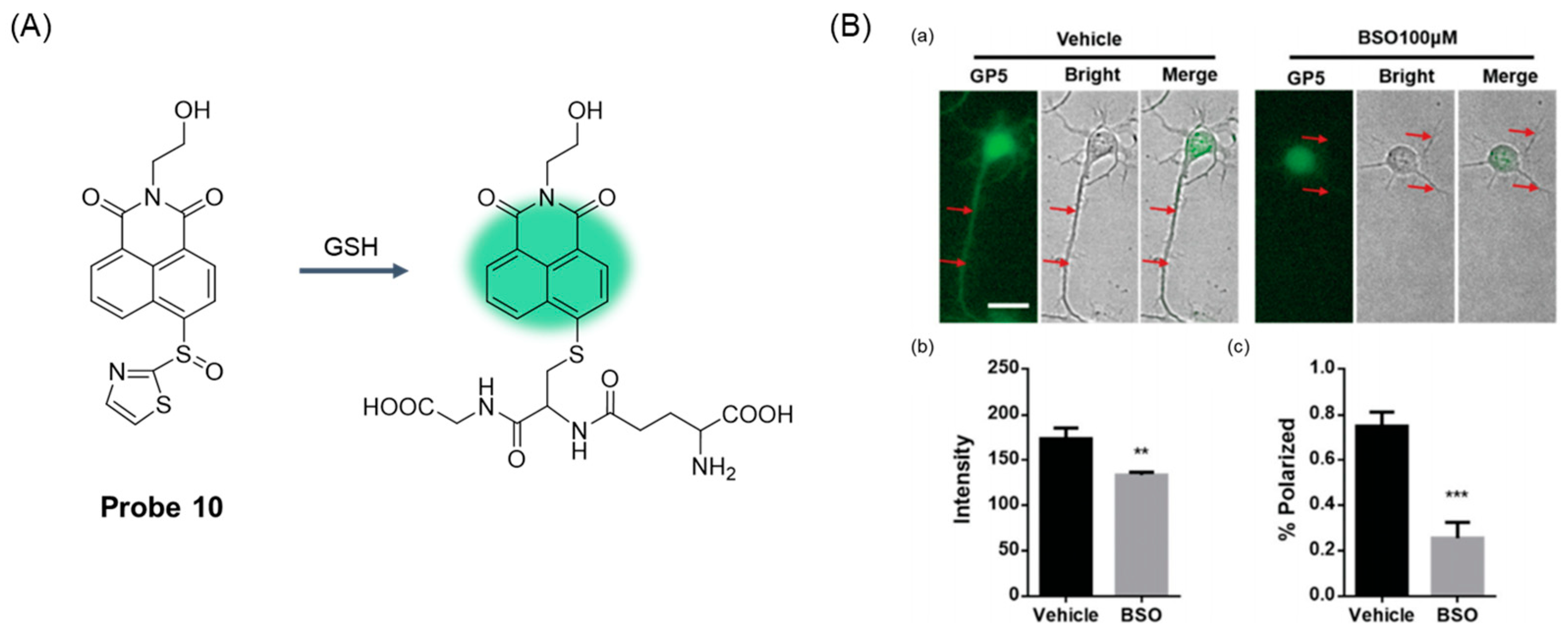 Molecules 29 04333 g014