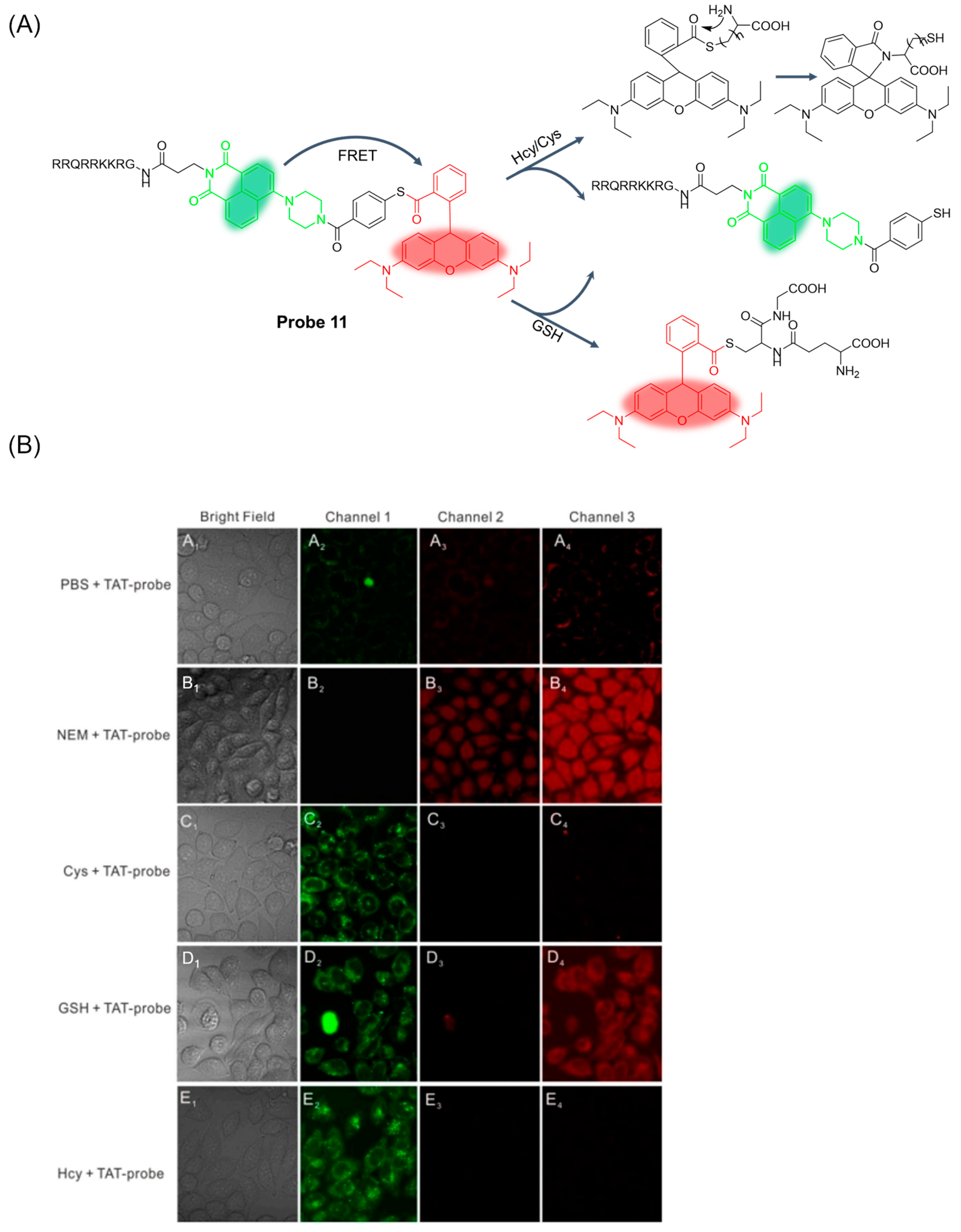 Molecules 29 04333 g015