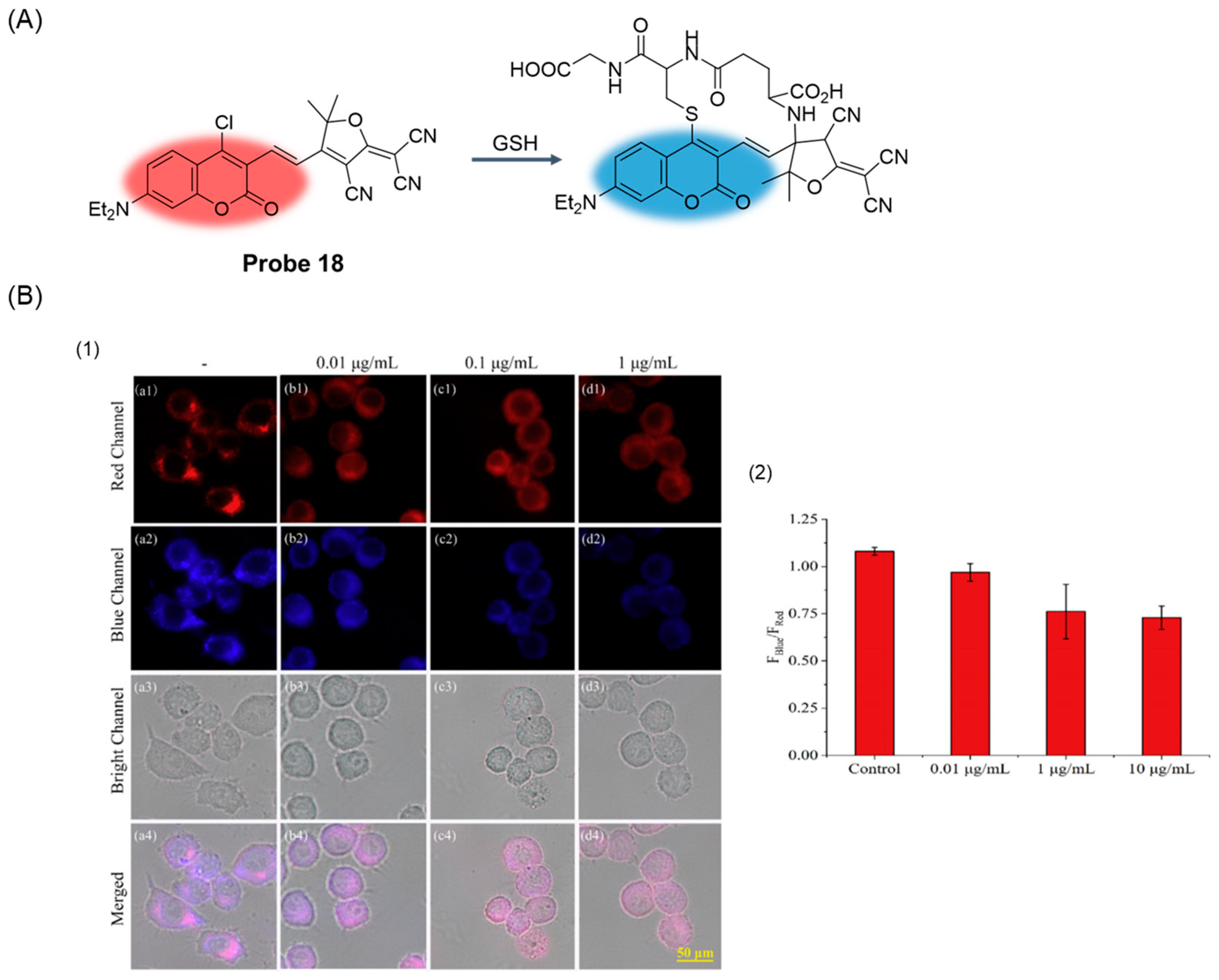 Molecules 29 04333 g023