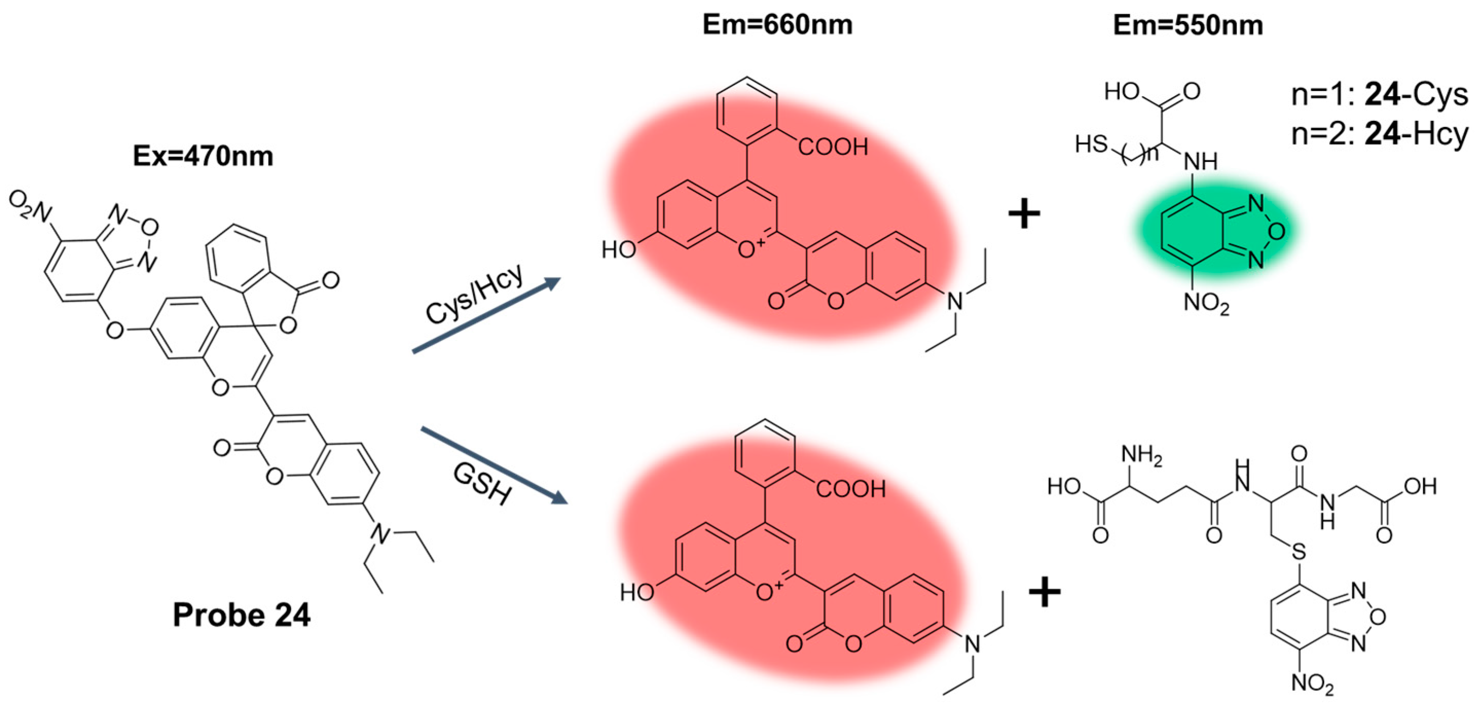 Molecules 29 04333 g029