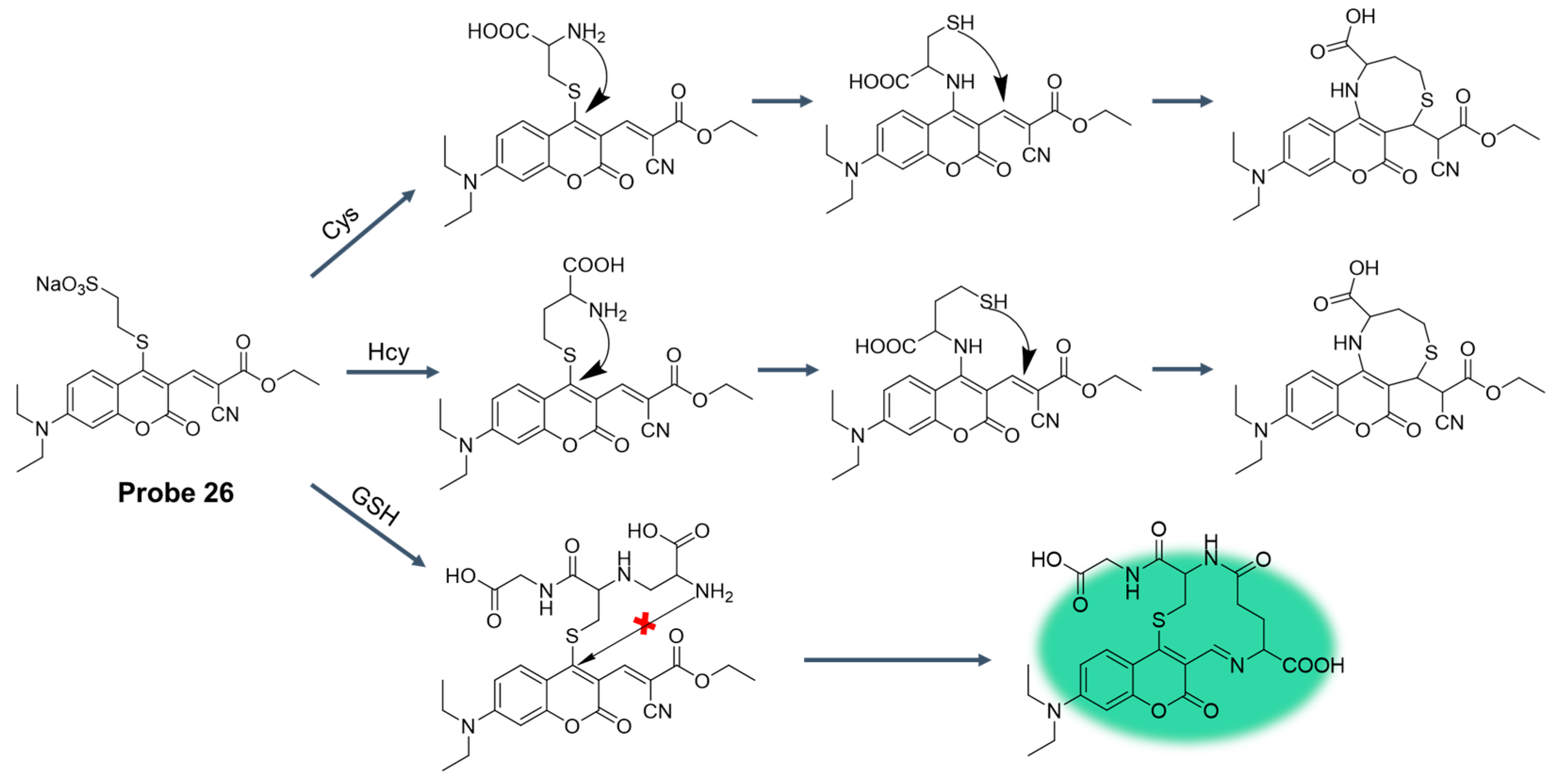 Molecules 29 04333 g031