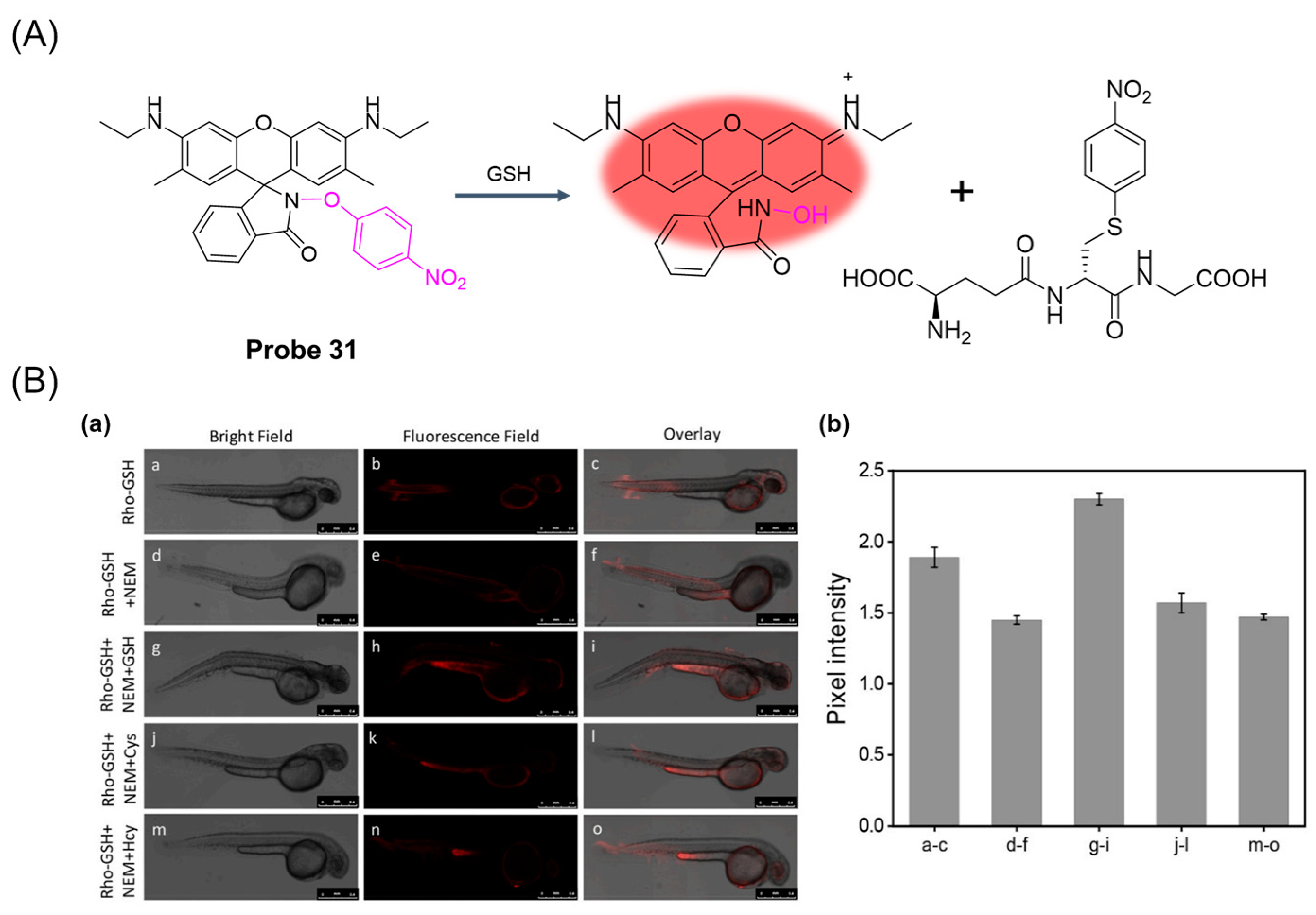 Molecules 29 04333 g038