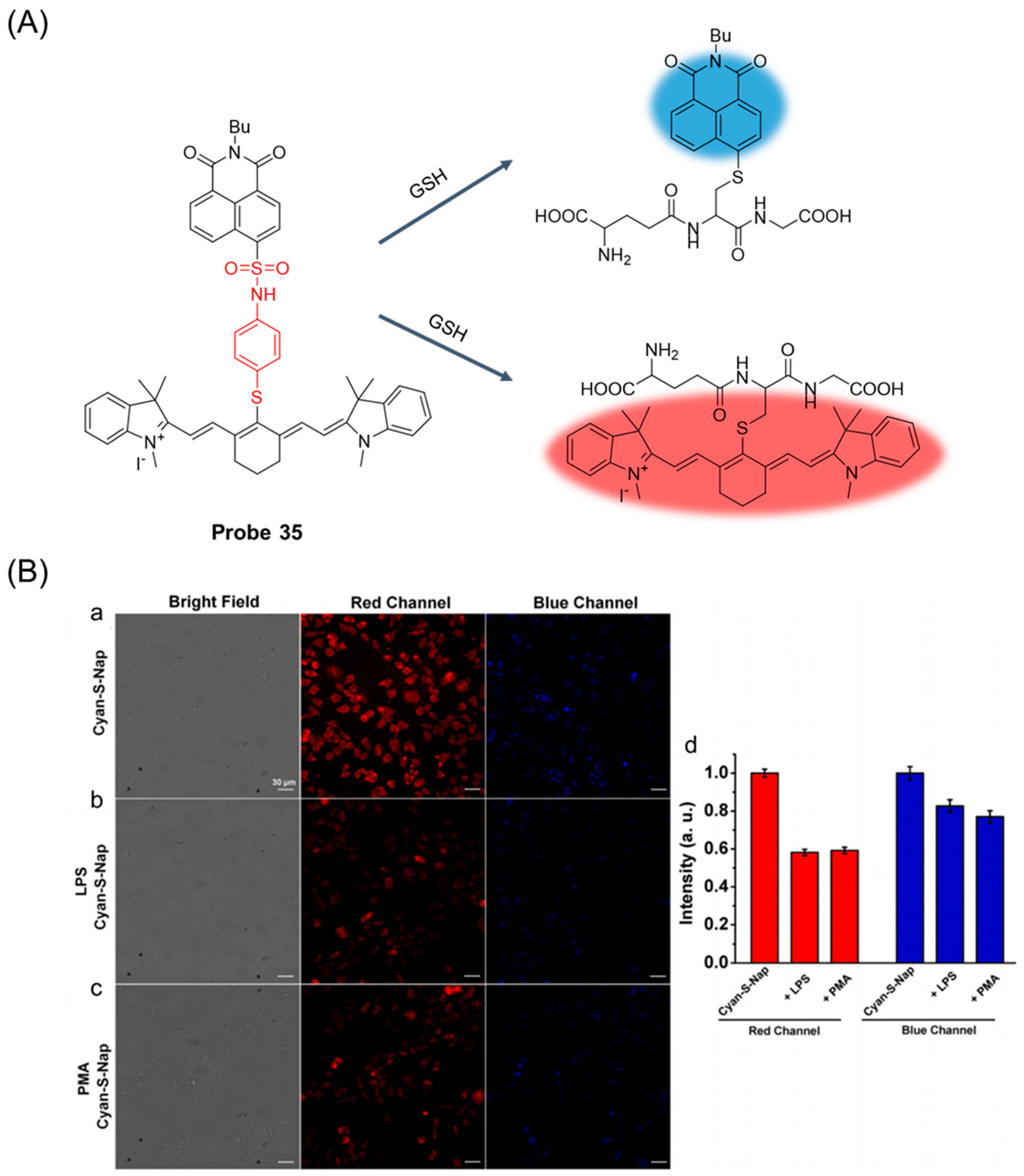 Molecules 29 04333 g043