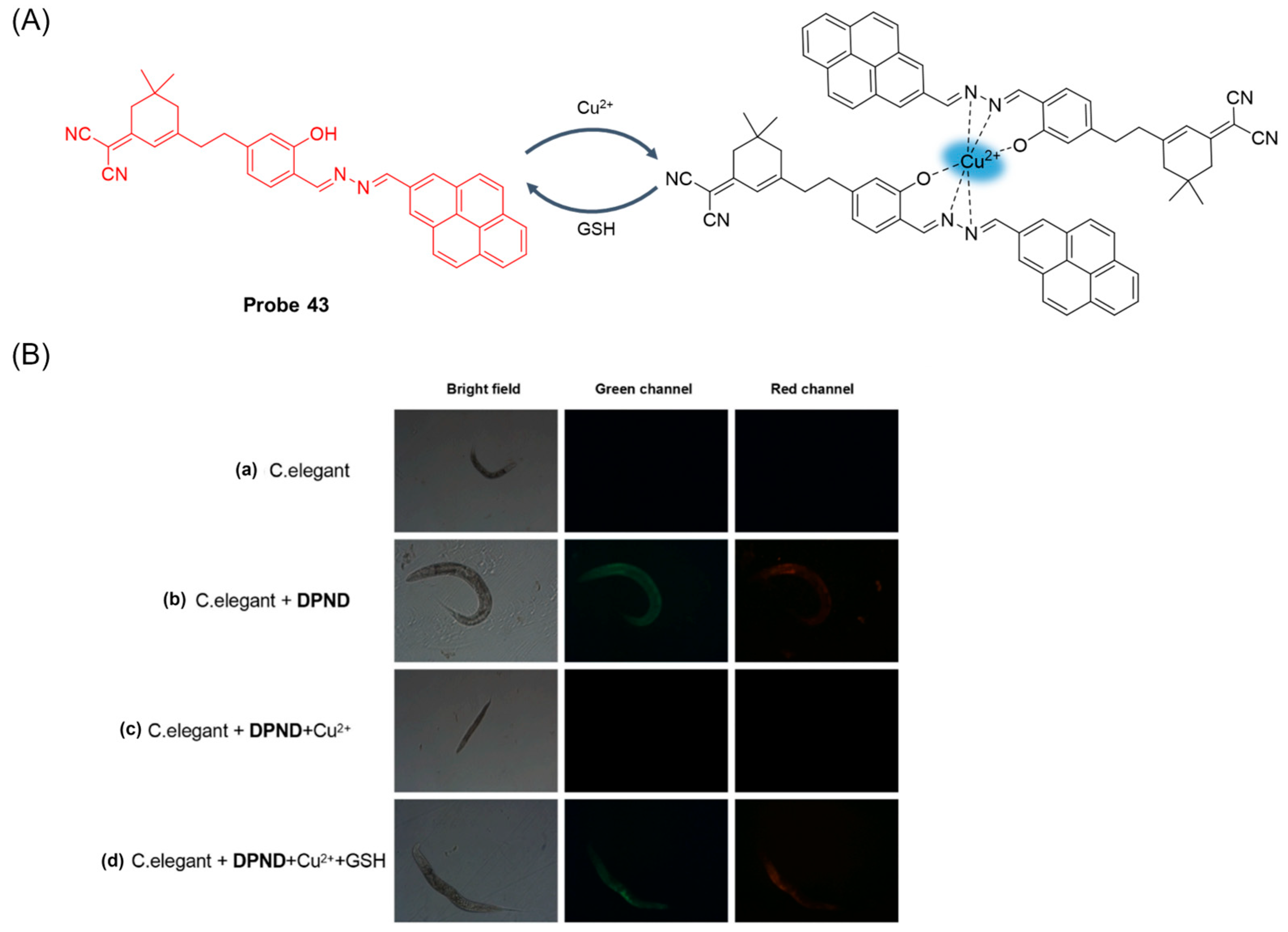 Molecules 29 04333 g052