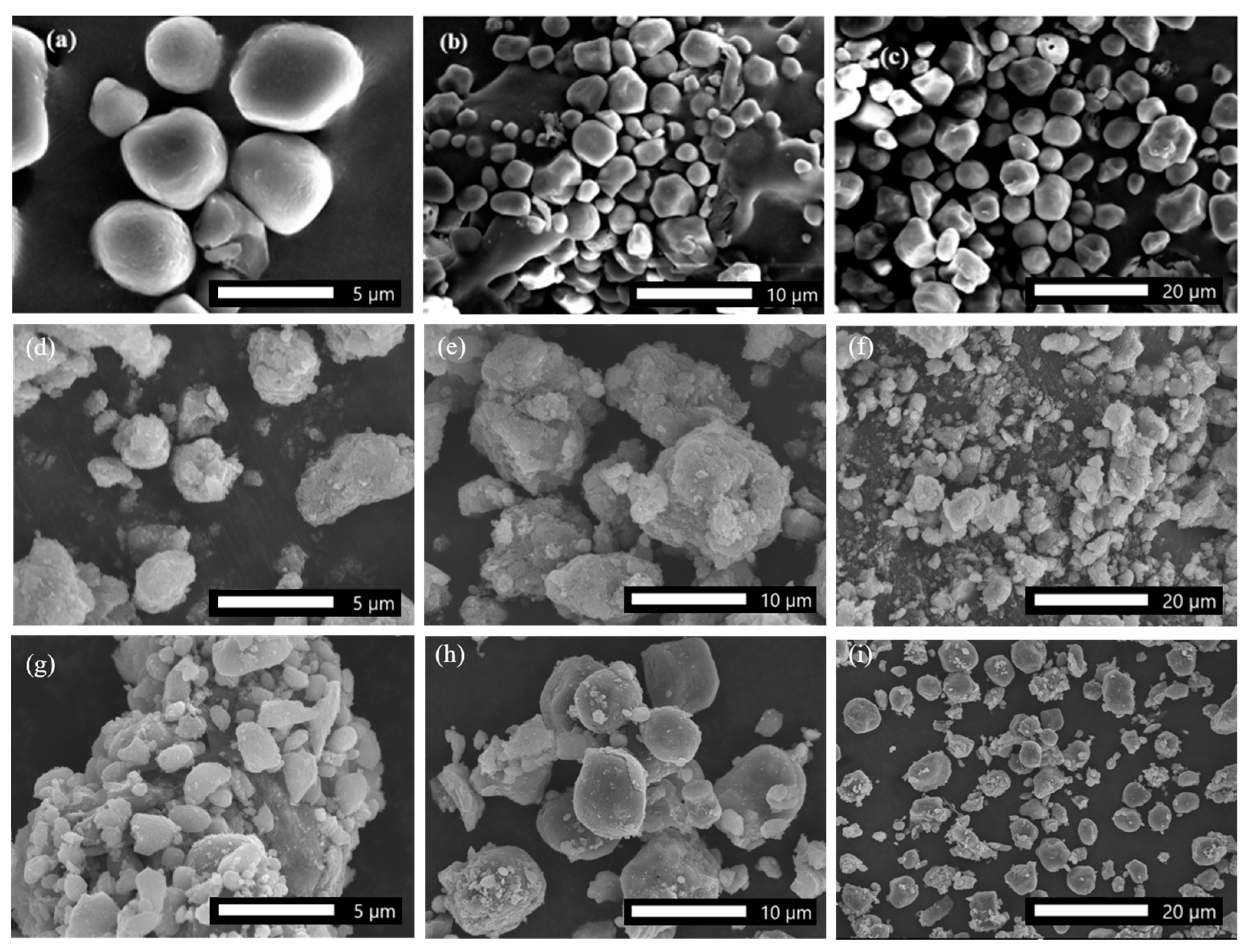 Molecules 29 04339 g002