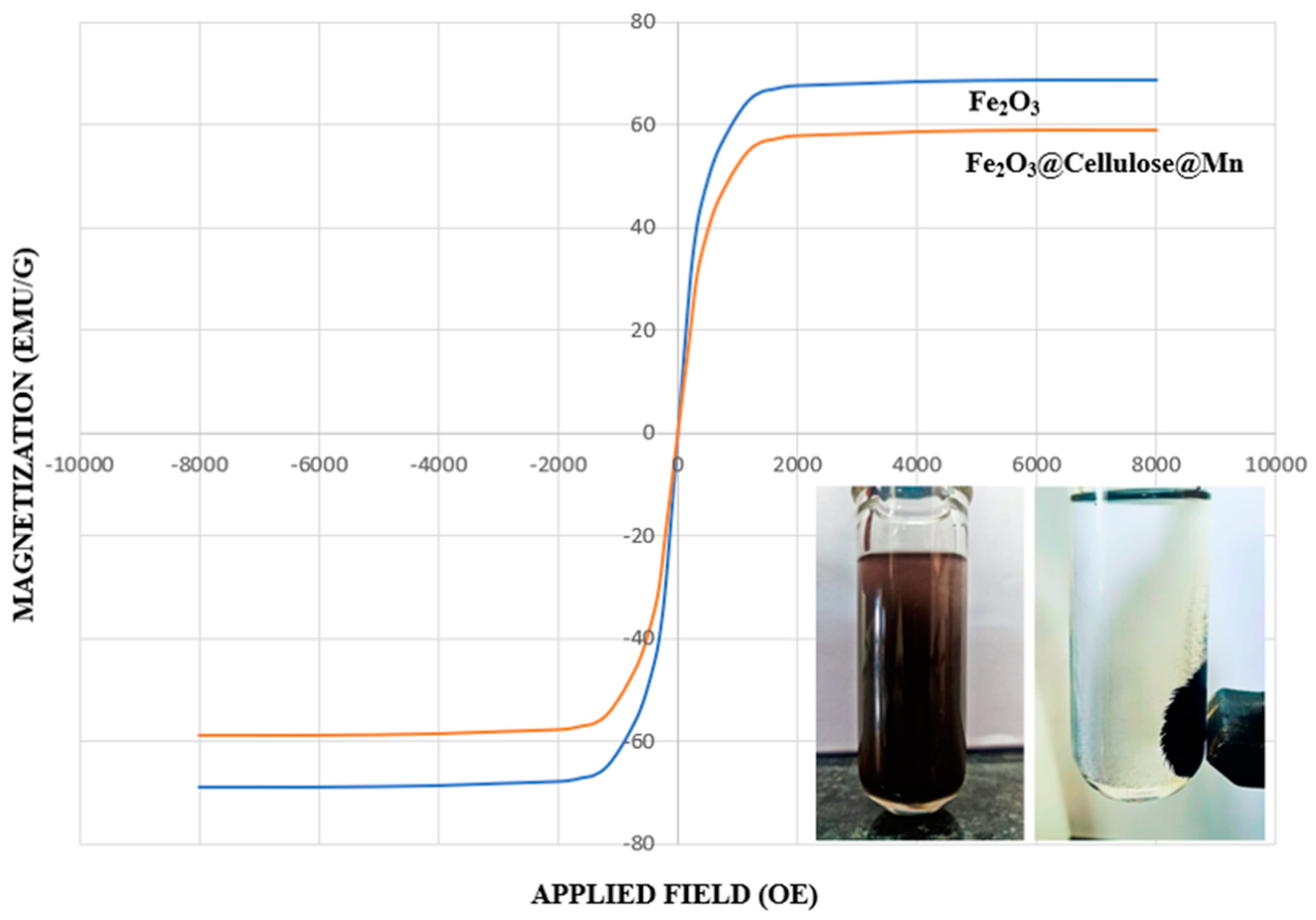 Molecules 29 04339 g005