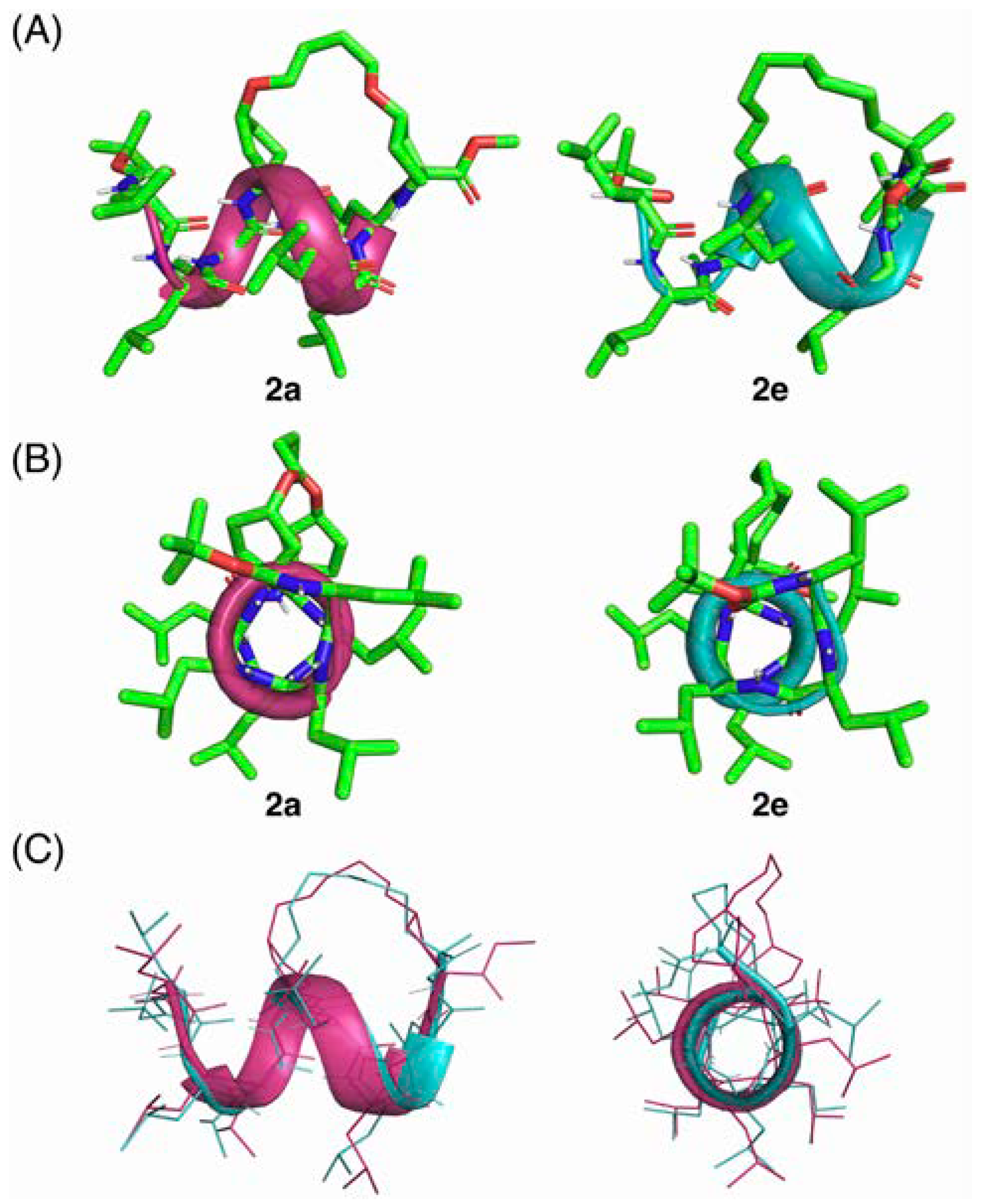 Molecules 29 04340 g002