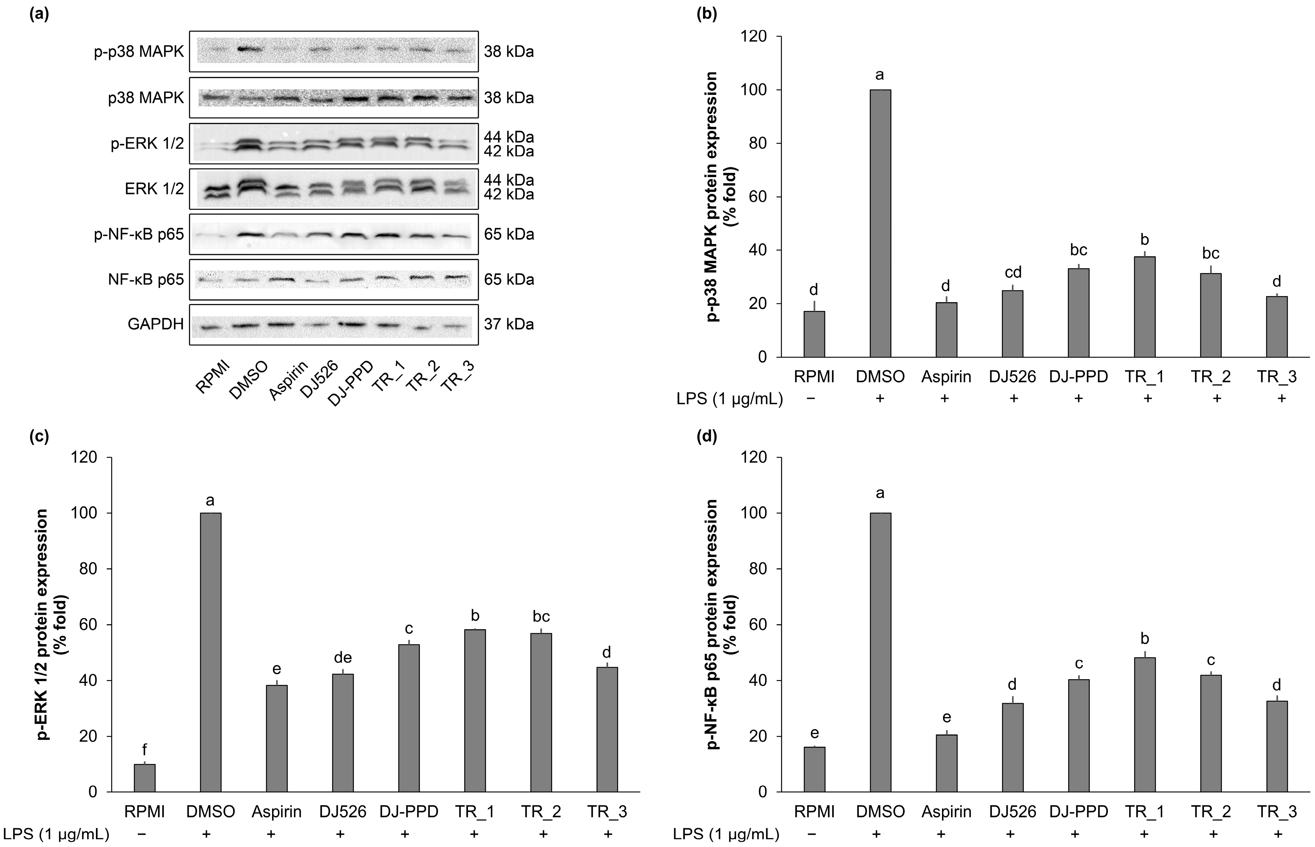 Molecules 29 04343 g005 Molecules 29 04343 g005