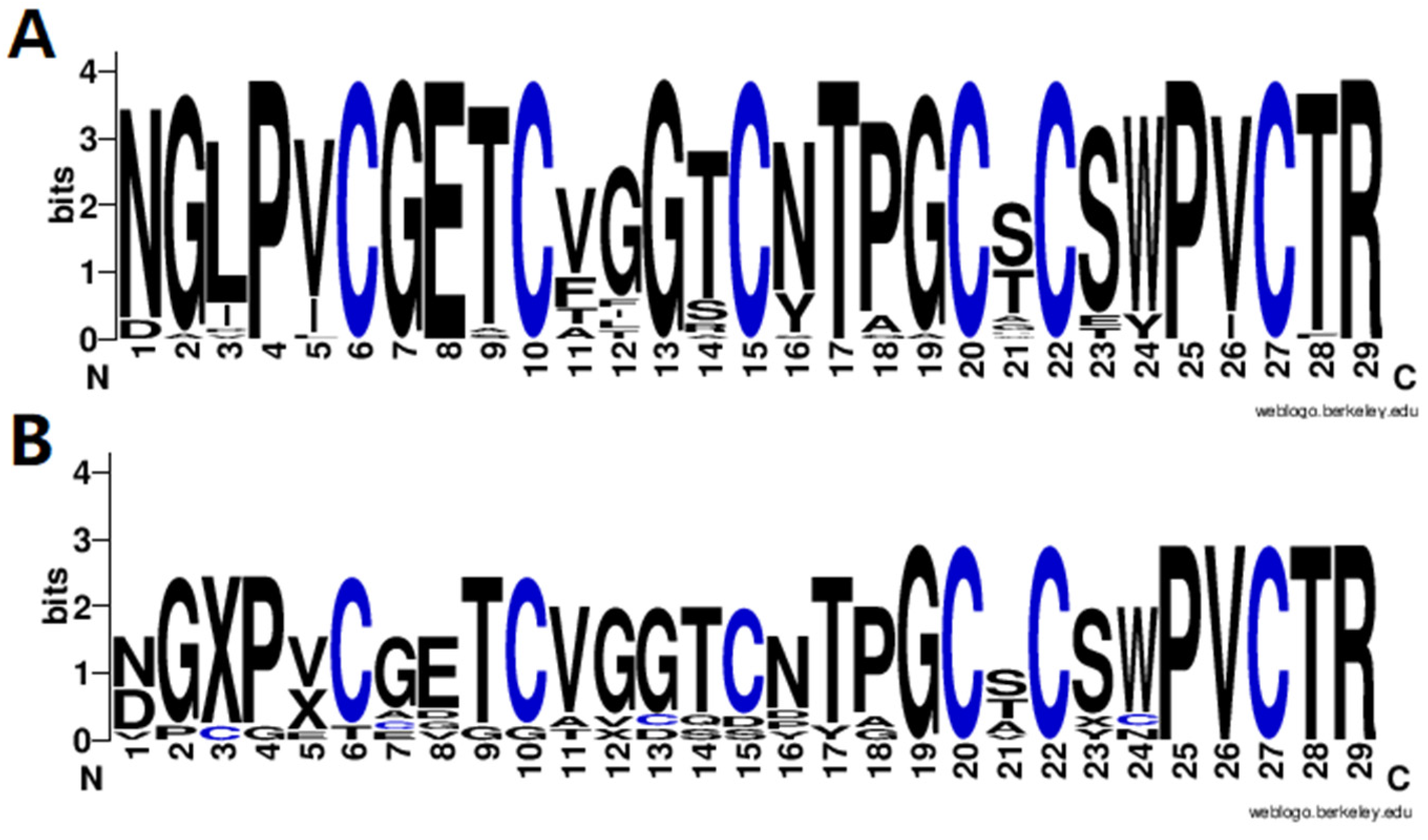 Molecules 29 04344 g004
