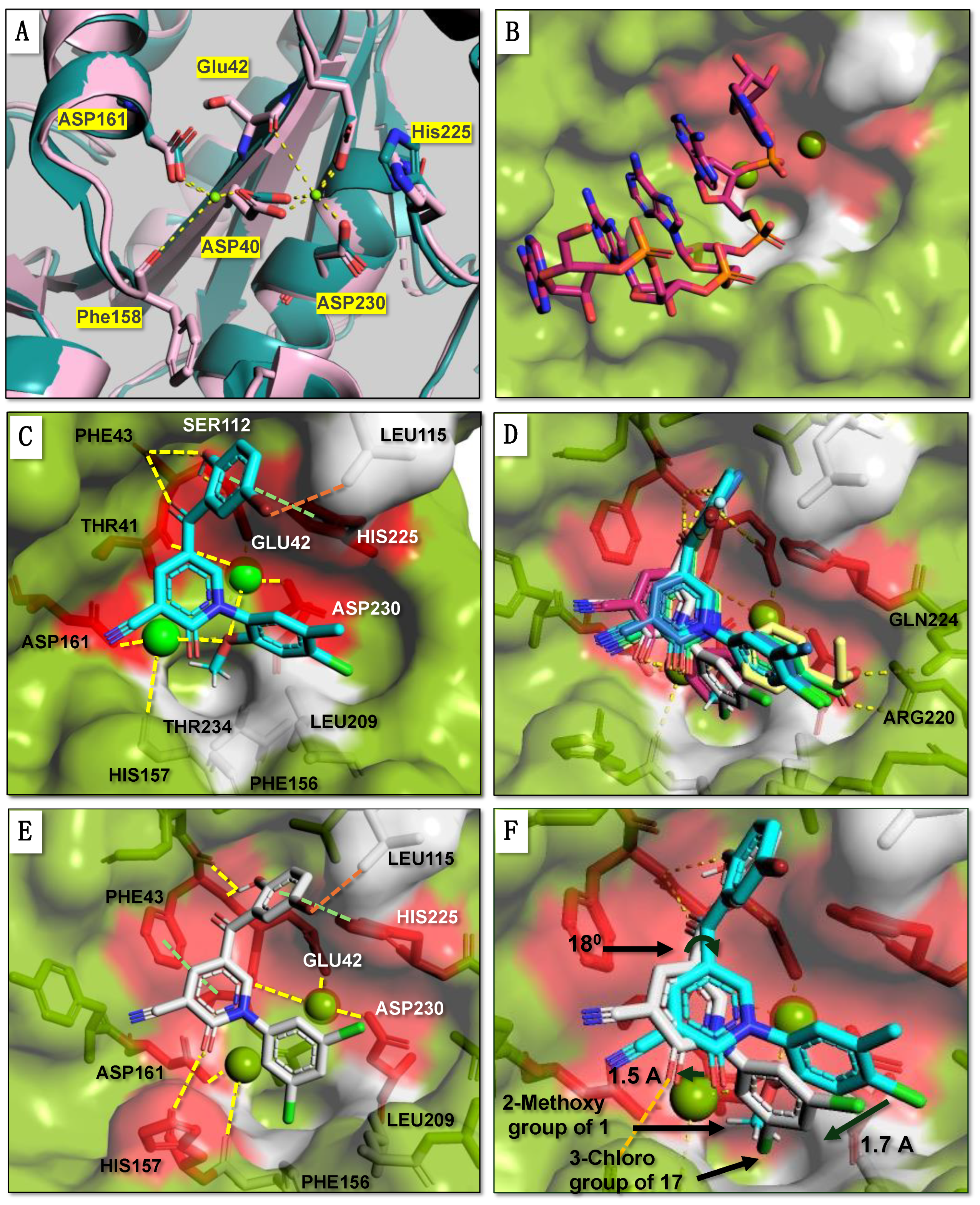 Molecules 29 04351 g002 Molecules 29 04351 g002