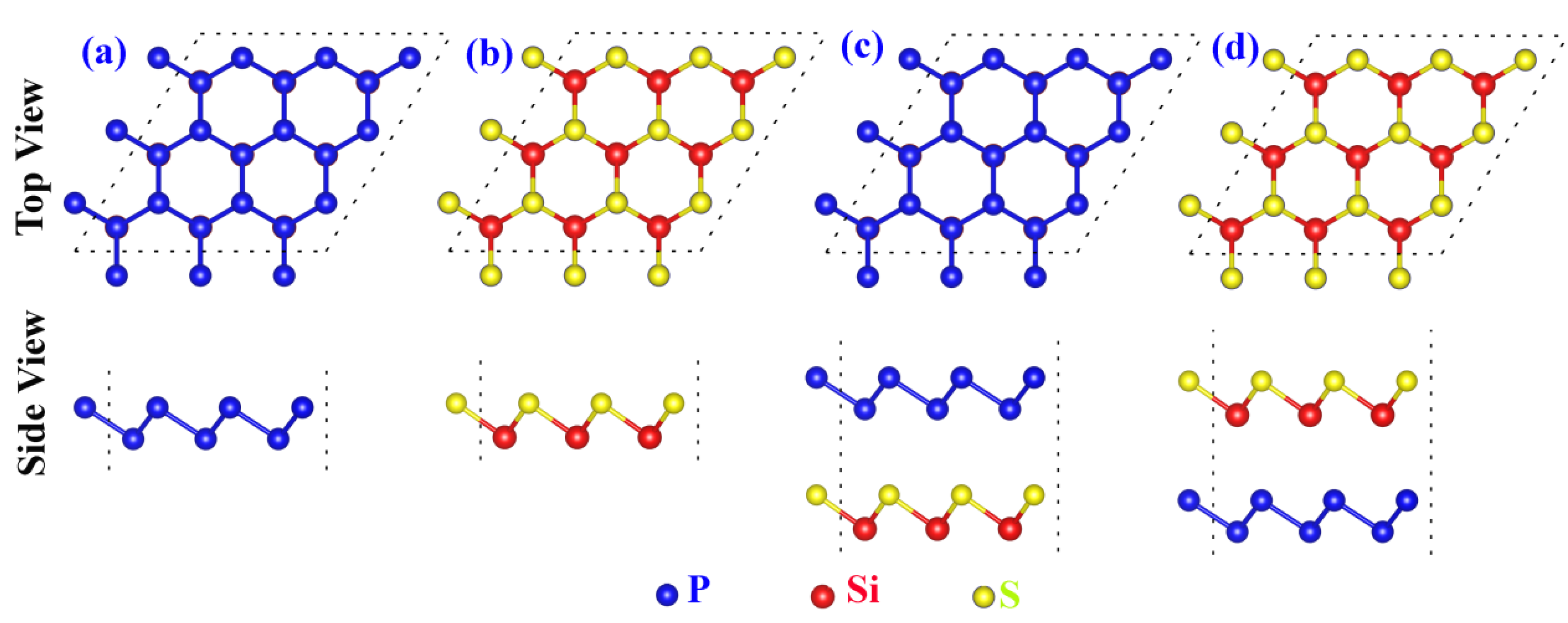 Molecules 29 04355 g001