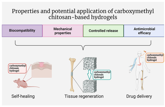 Medical Applications and Cellular Mechanisms of Action of Carboxymethyl ...