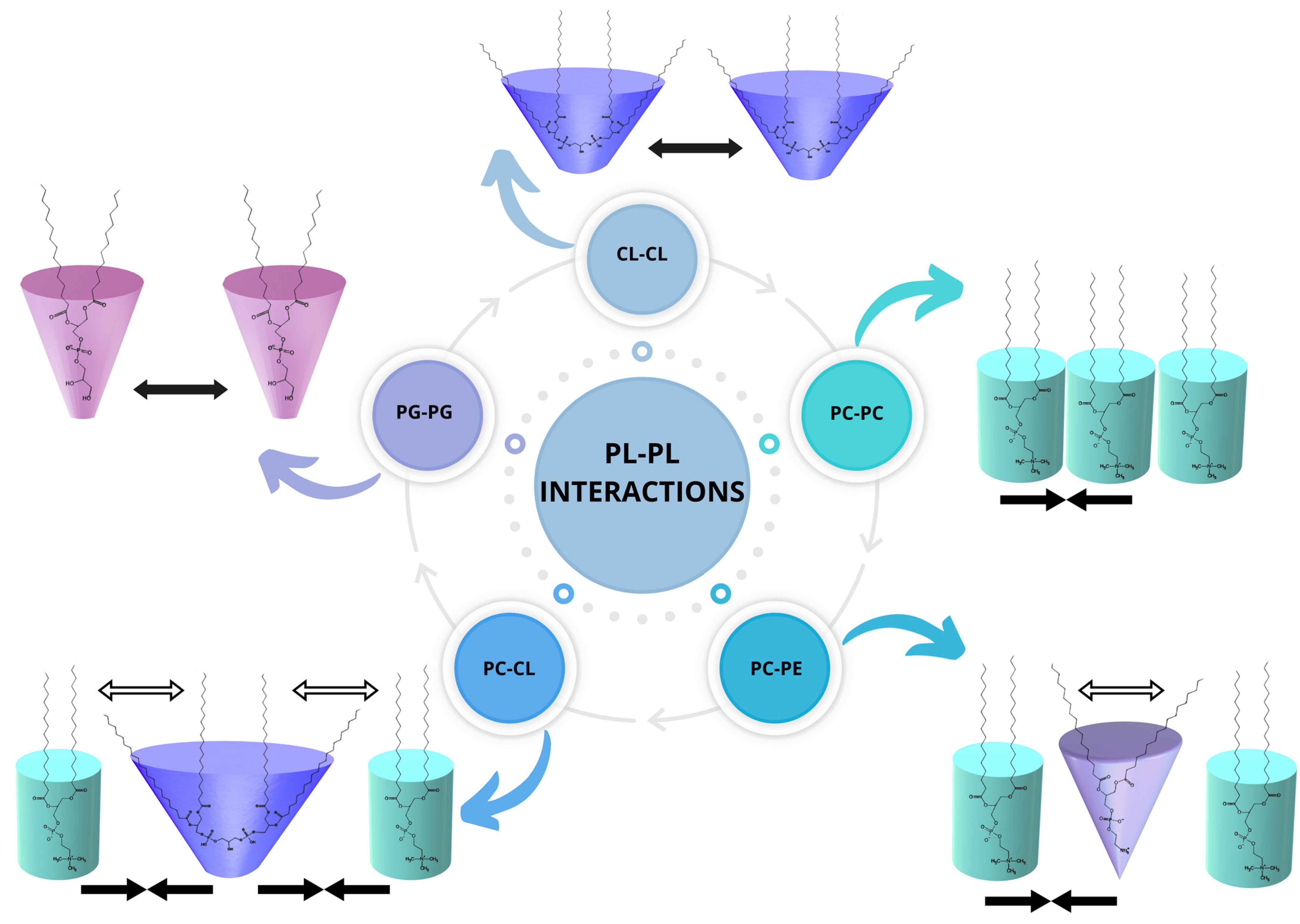 Molecules 29 04367 g006