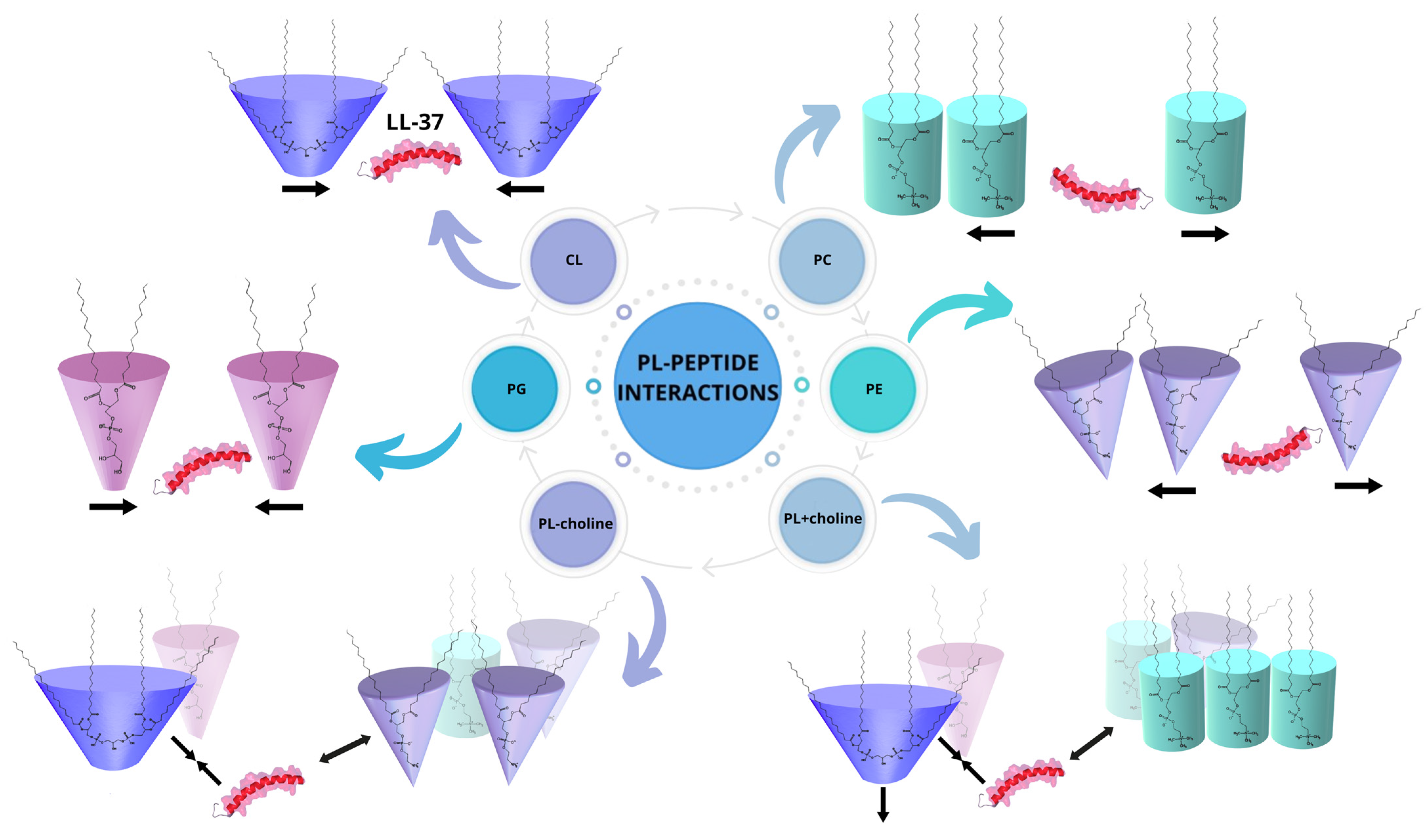 Molecules 29 04367 g007