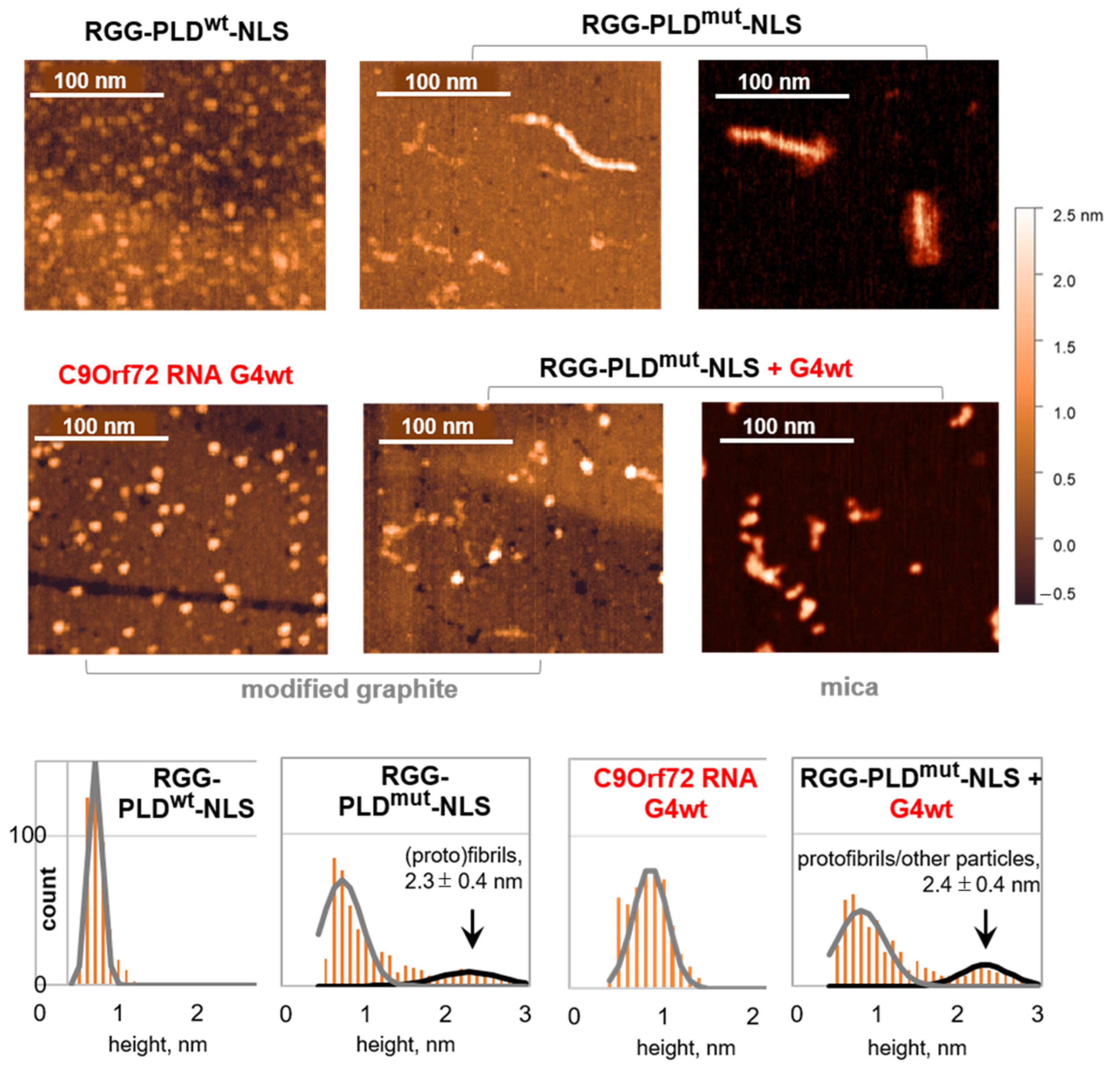 Molecules 29 04369 g002