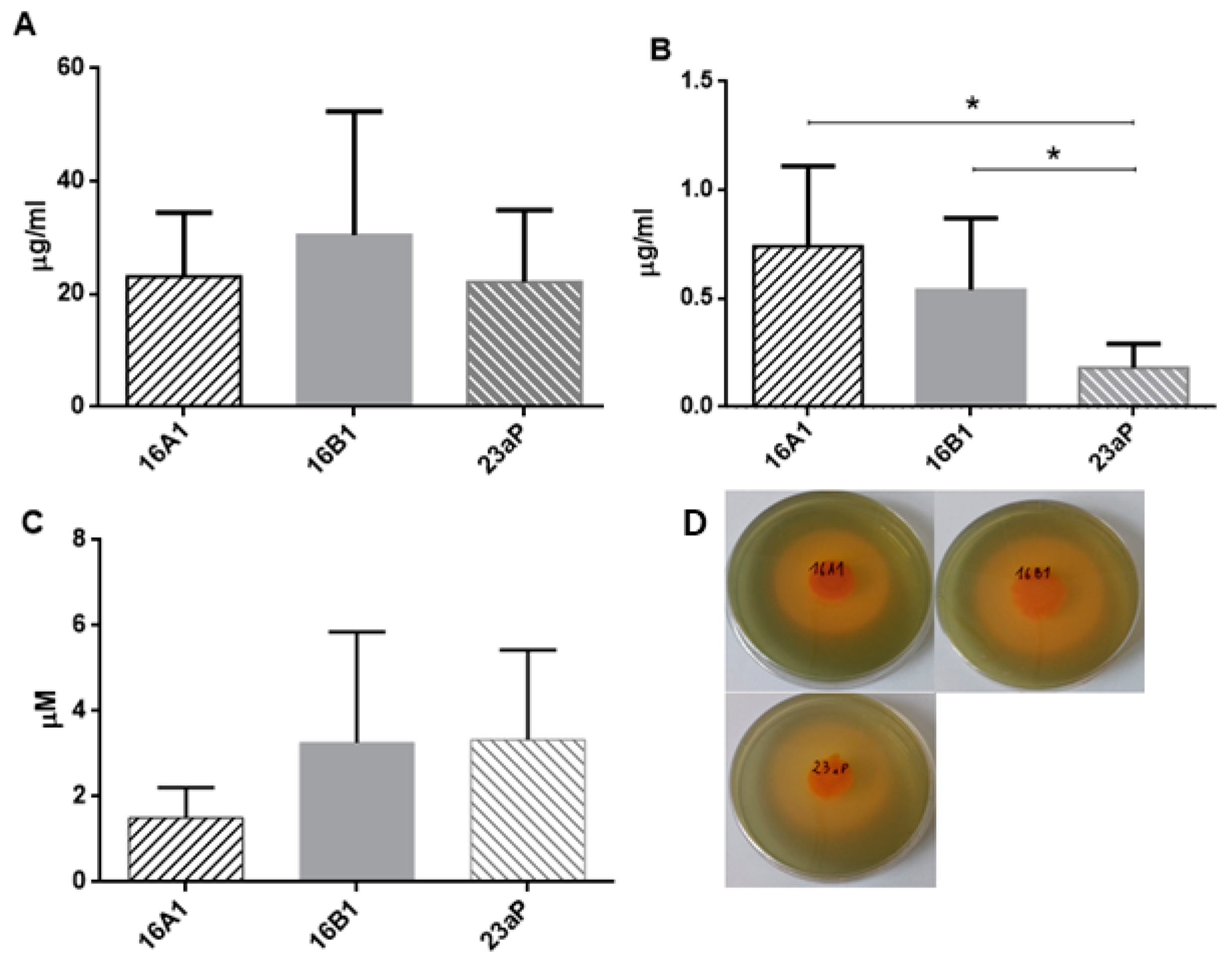 Profiling Metabolites with Antifungal Activities from Endophytic