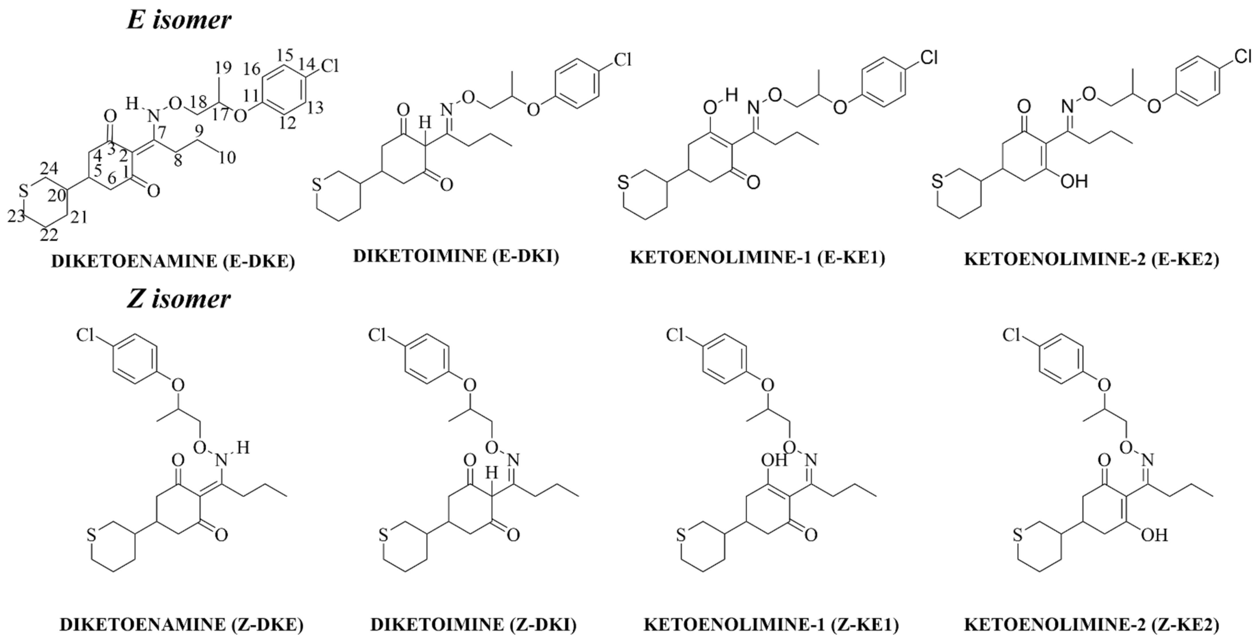 Molecules 29 04371 g001