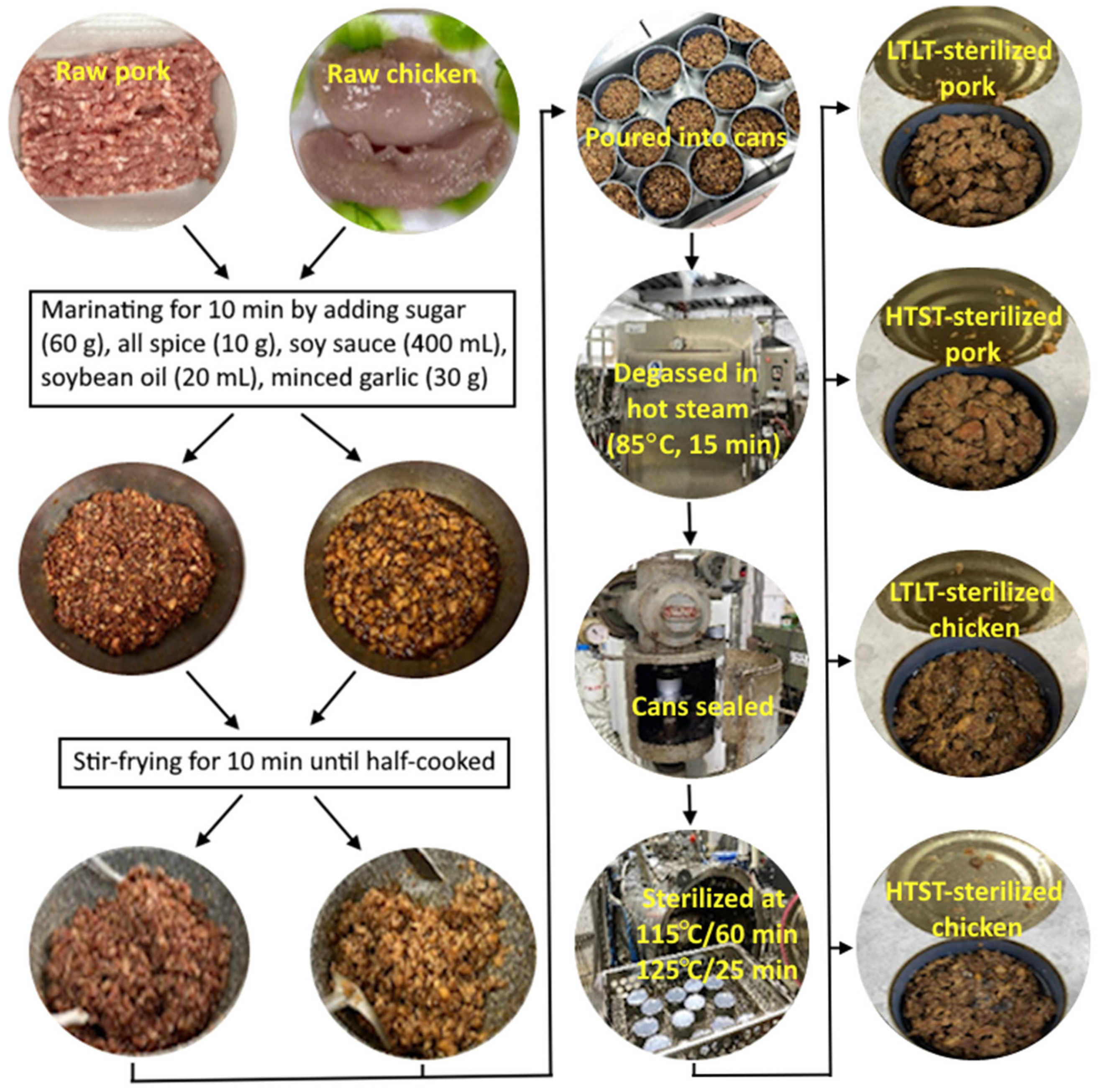 Molecules 29 04372 g001