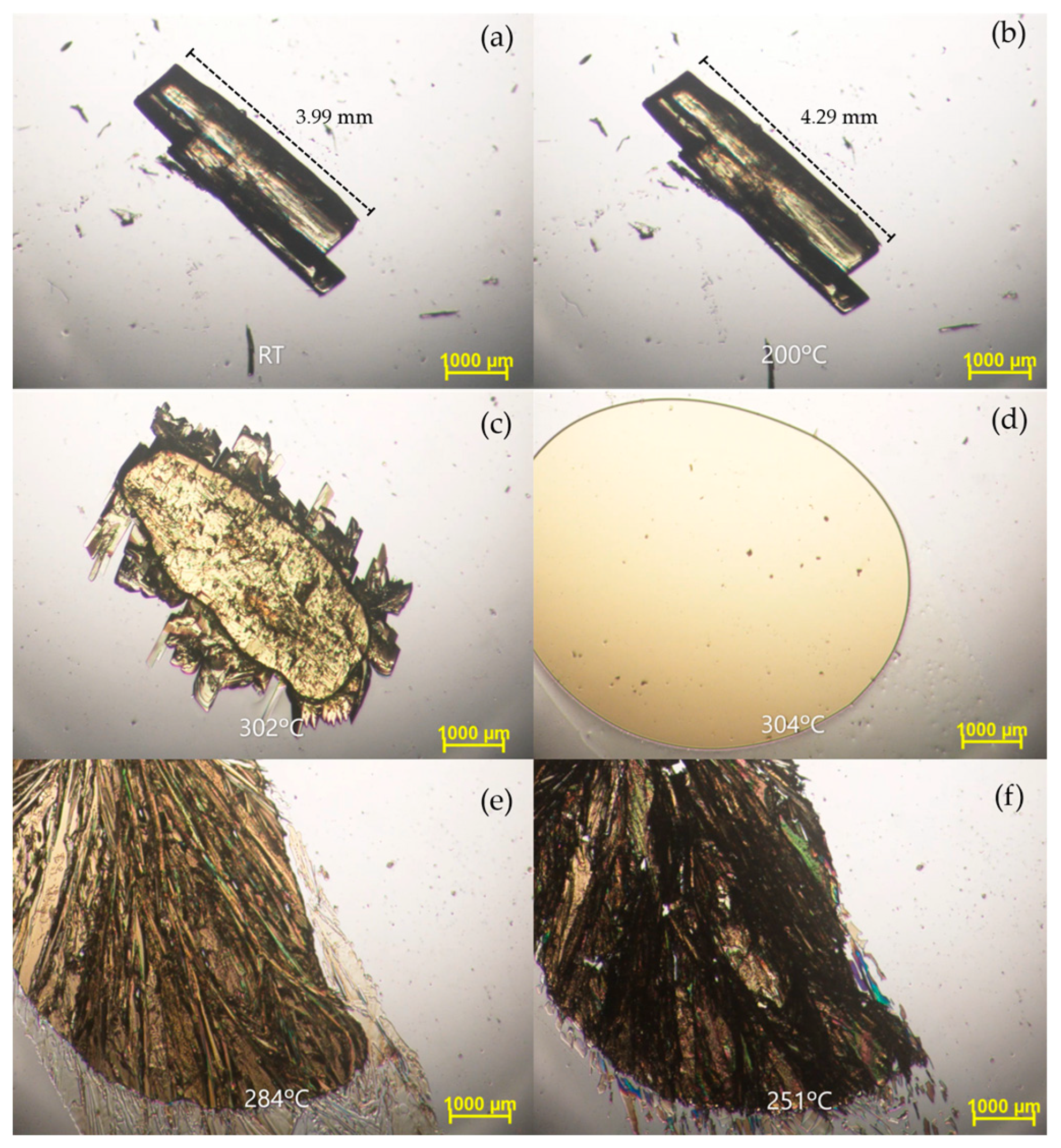 Molecules 29 04376 g007