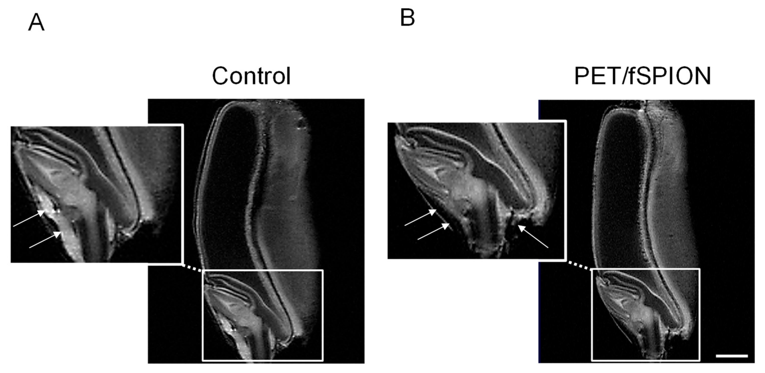 Molecules 29 04380 g005