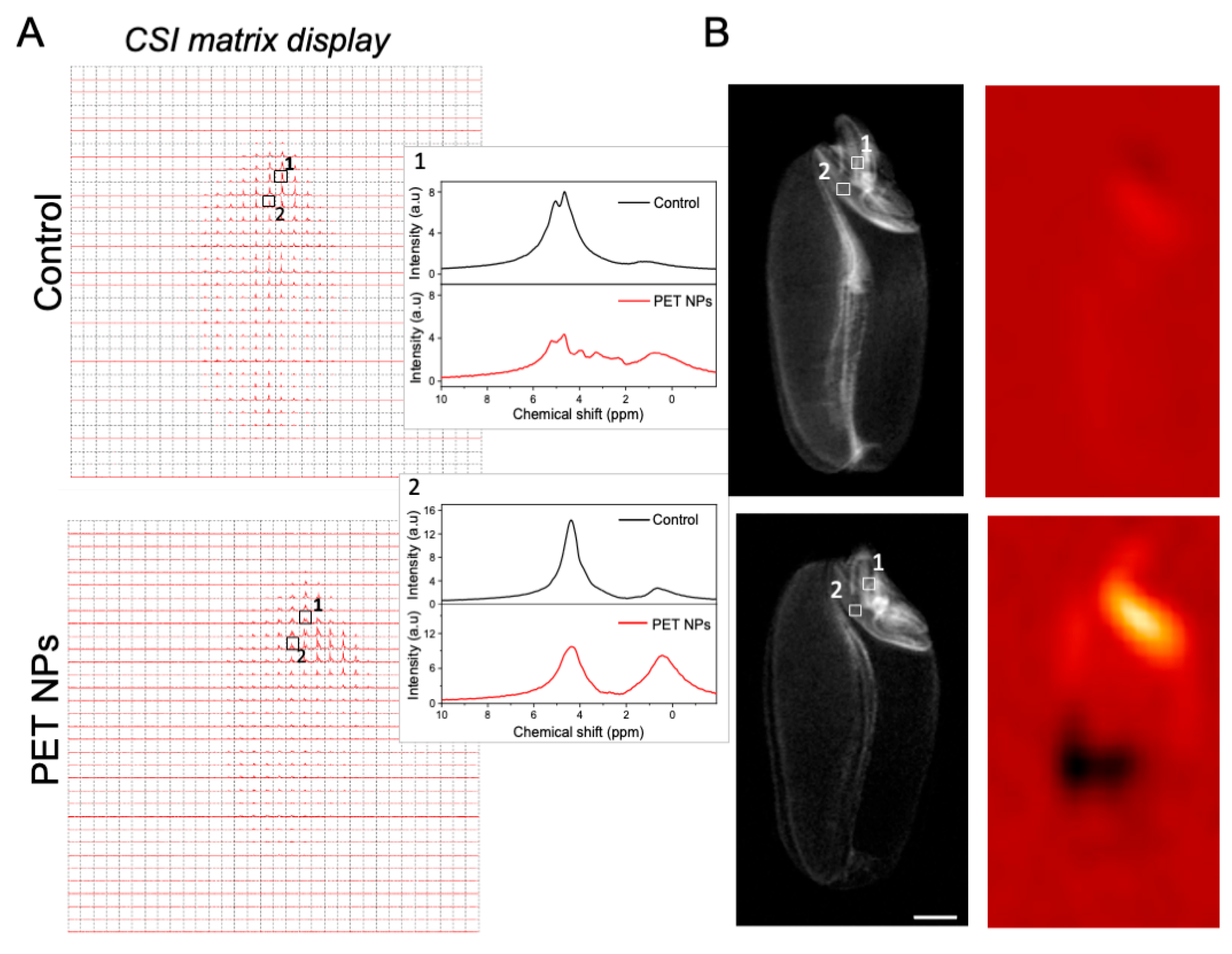 Molecules 29 04380 g008