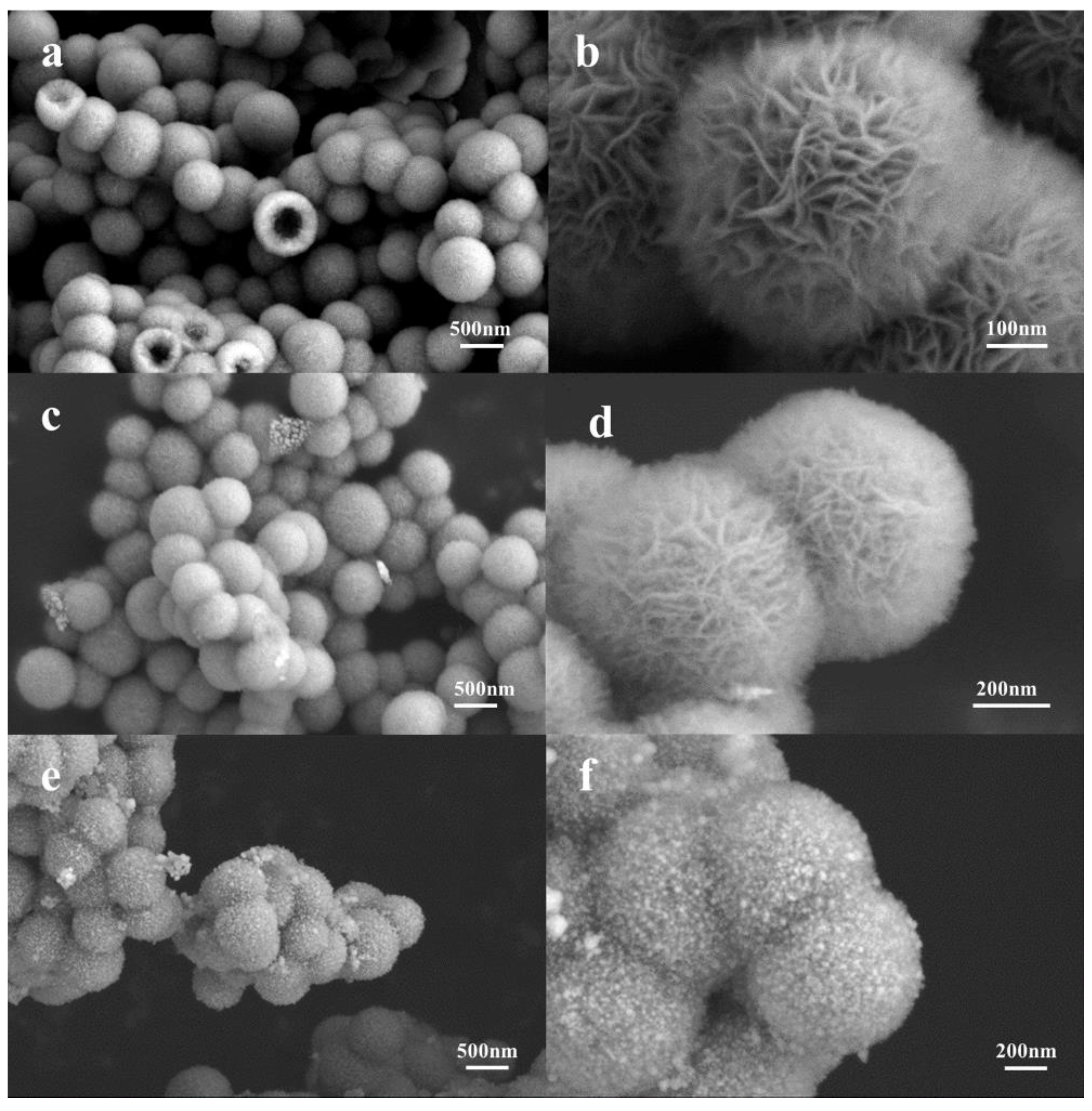 Molecules 29 04384 g002