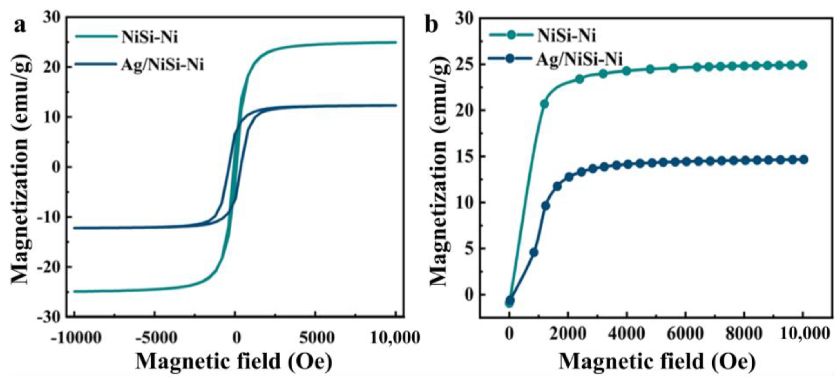 Molecules 29 04384 g005