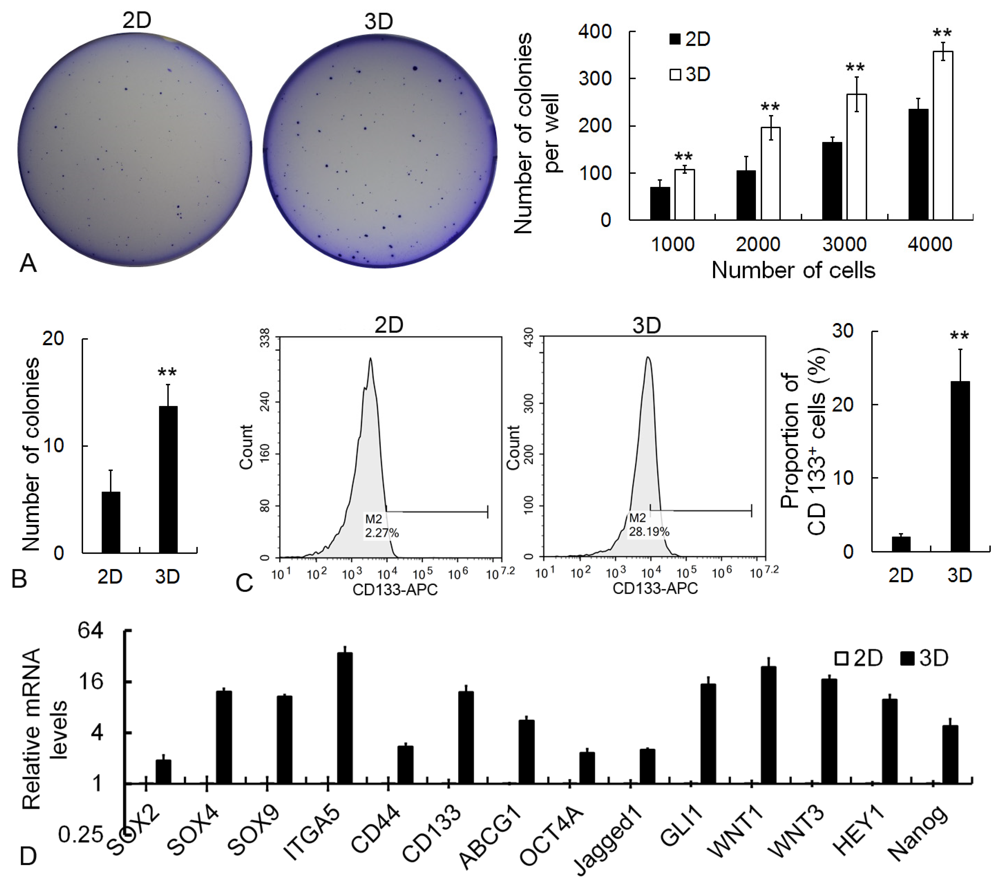 Molecules 29 04385 g005