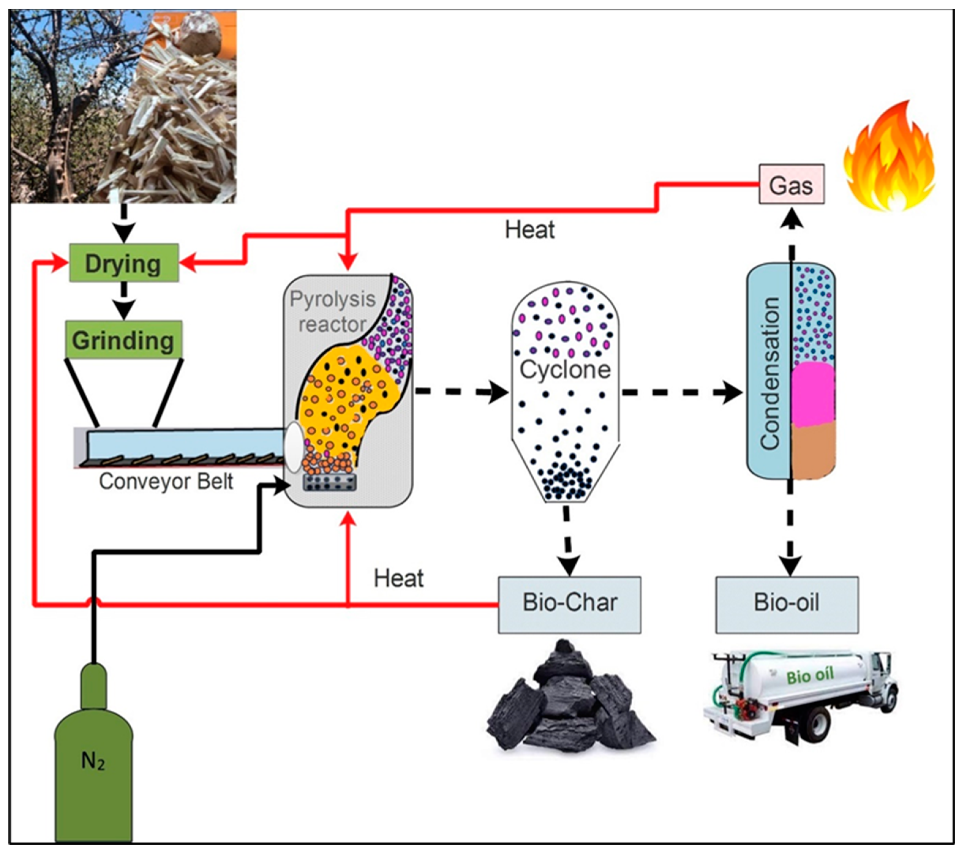 Molecules 29 04388 g001