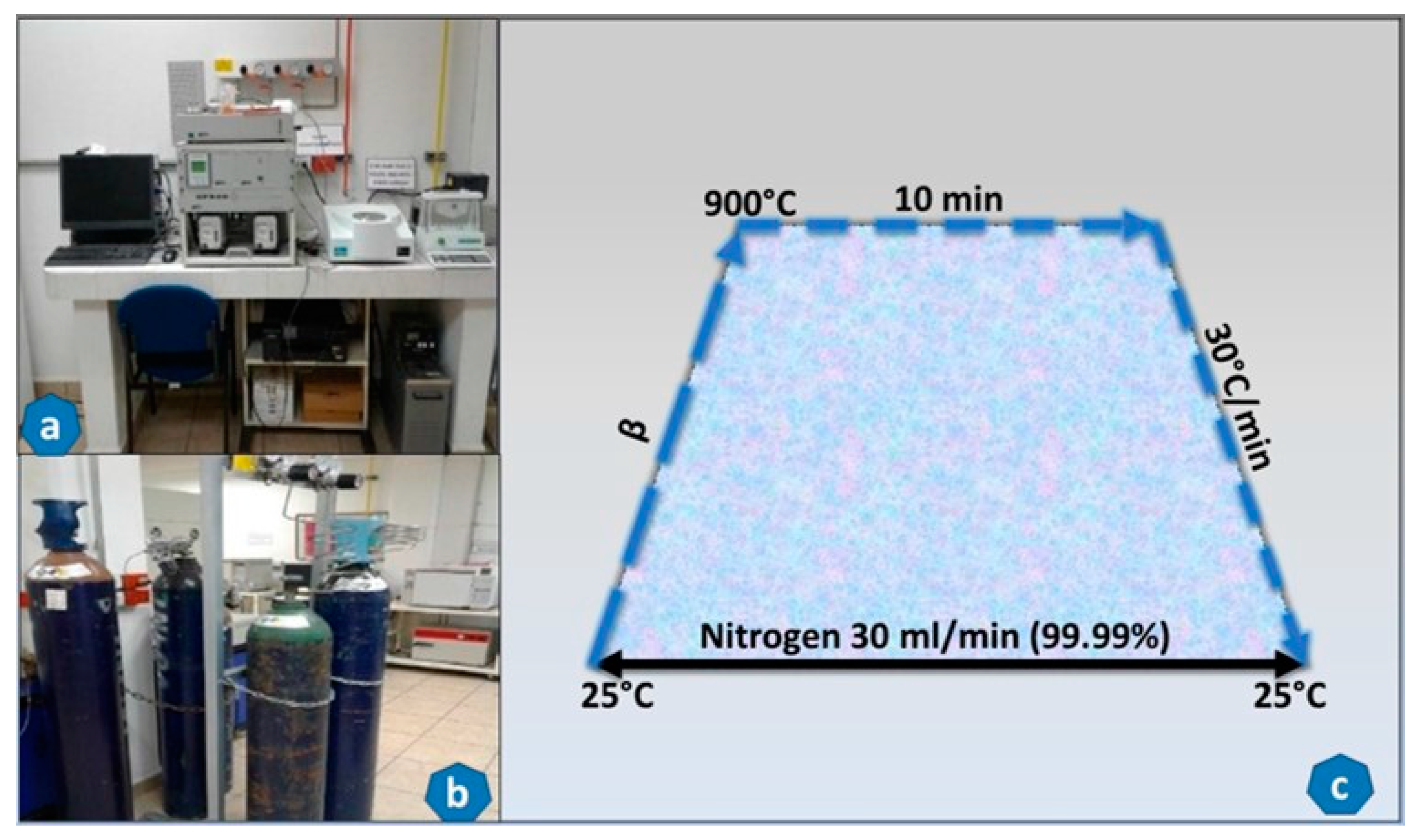 Molecules 29 04388 g008
