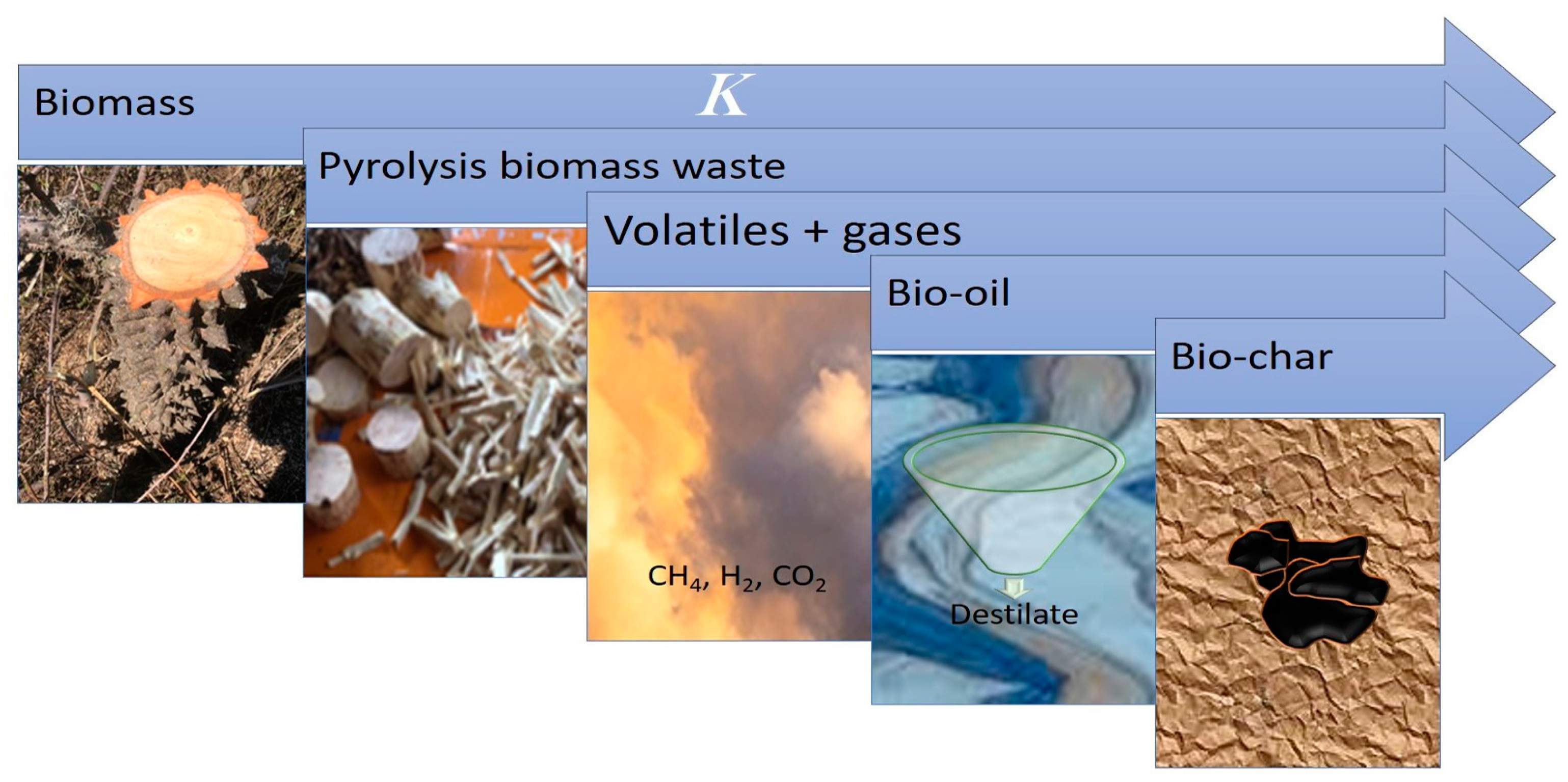 Molecules 29 04388 g009