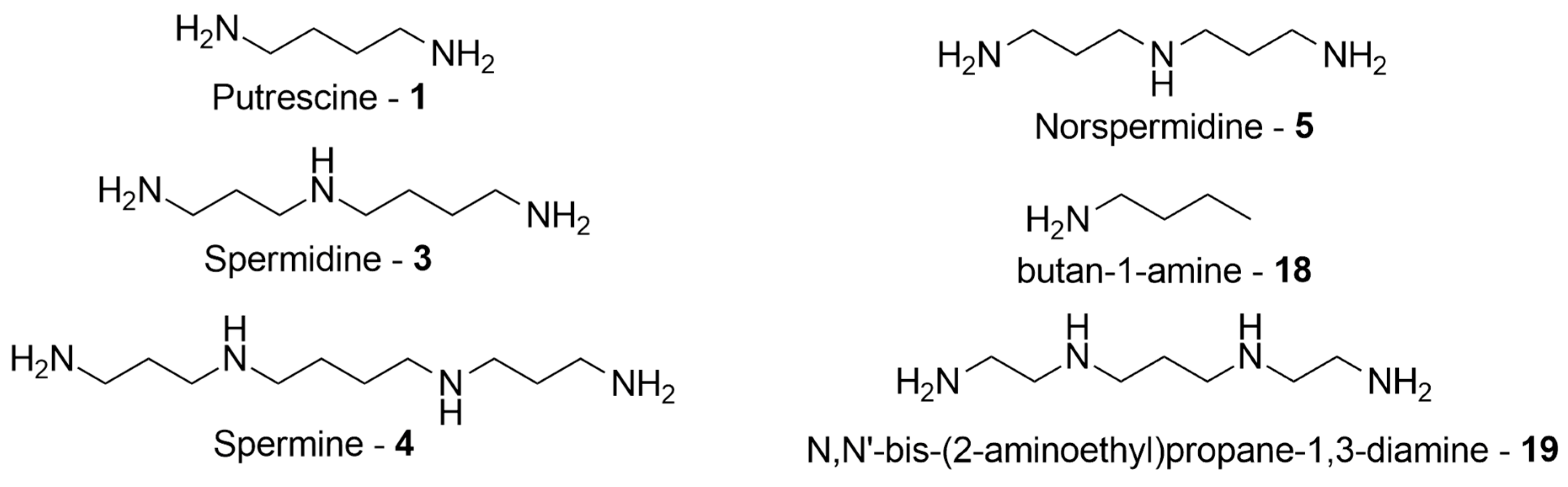 Molecules 29 04390 g009 Molecules 29 04390 g009