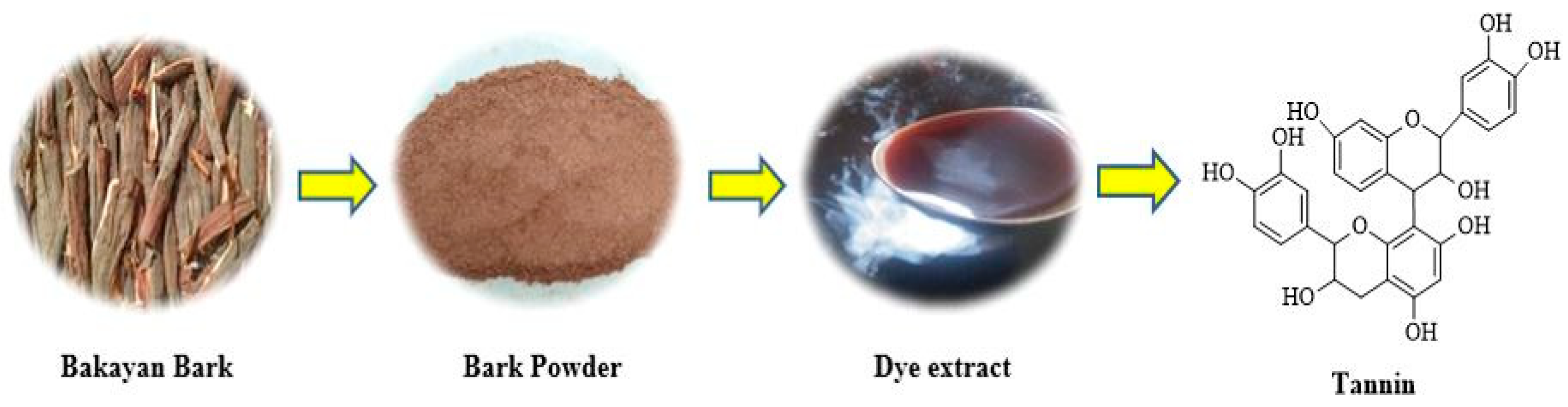 Molecules 29 04392 g001