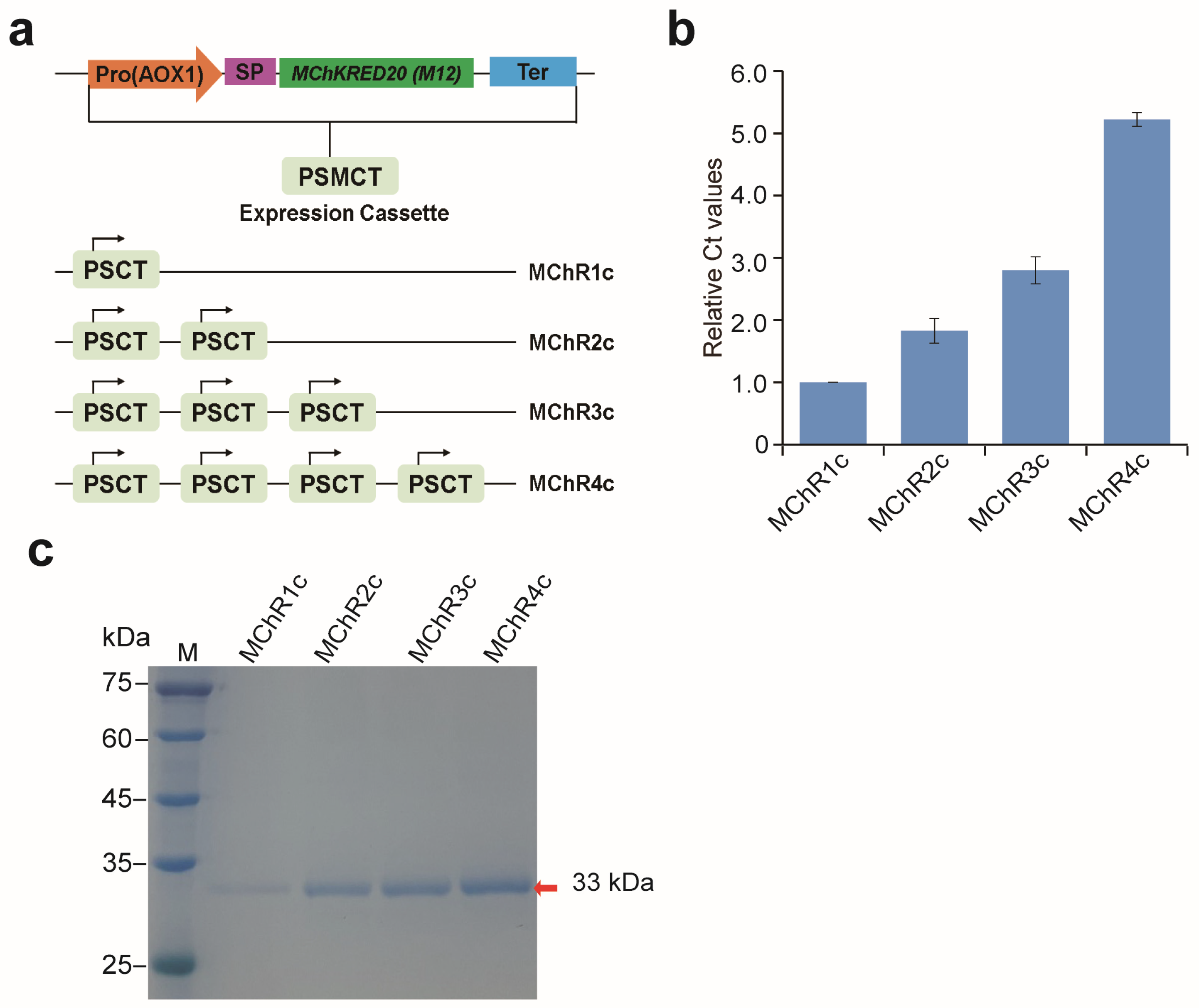 Molecules 29 04393 g004