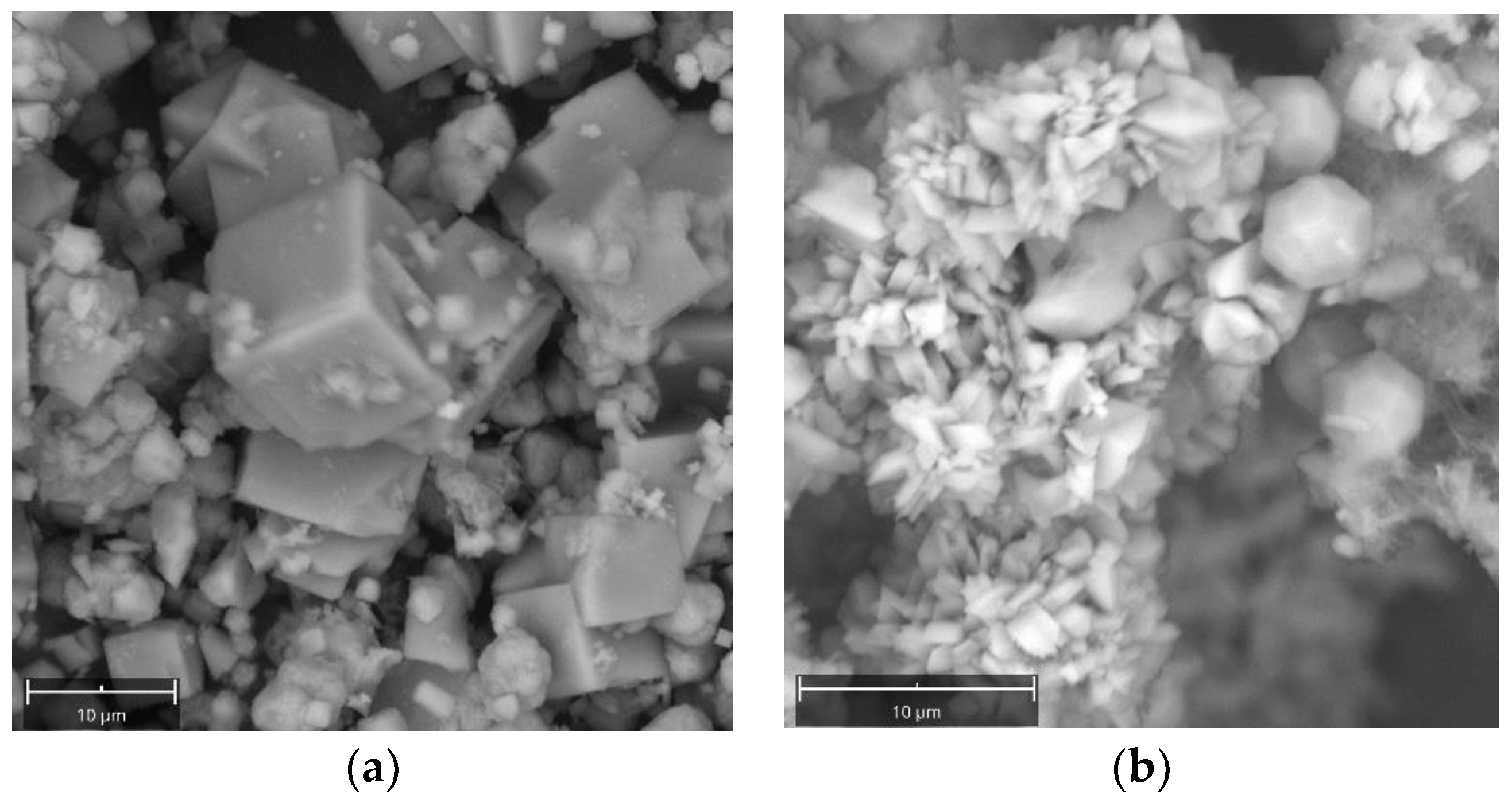 Molecules 29 04396 g005