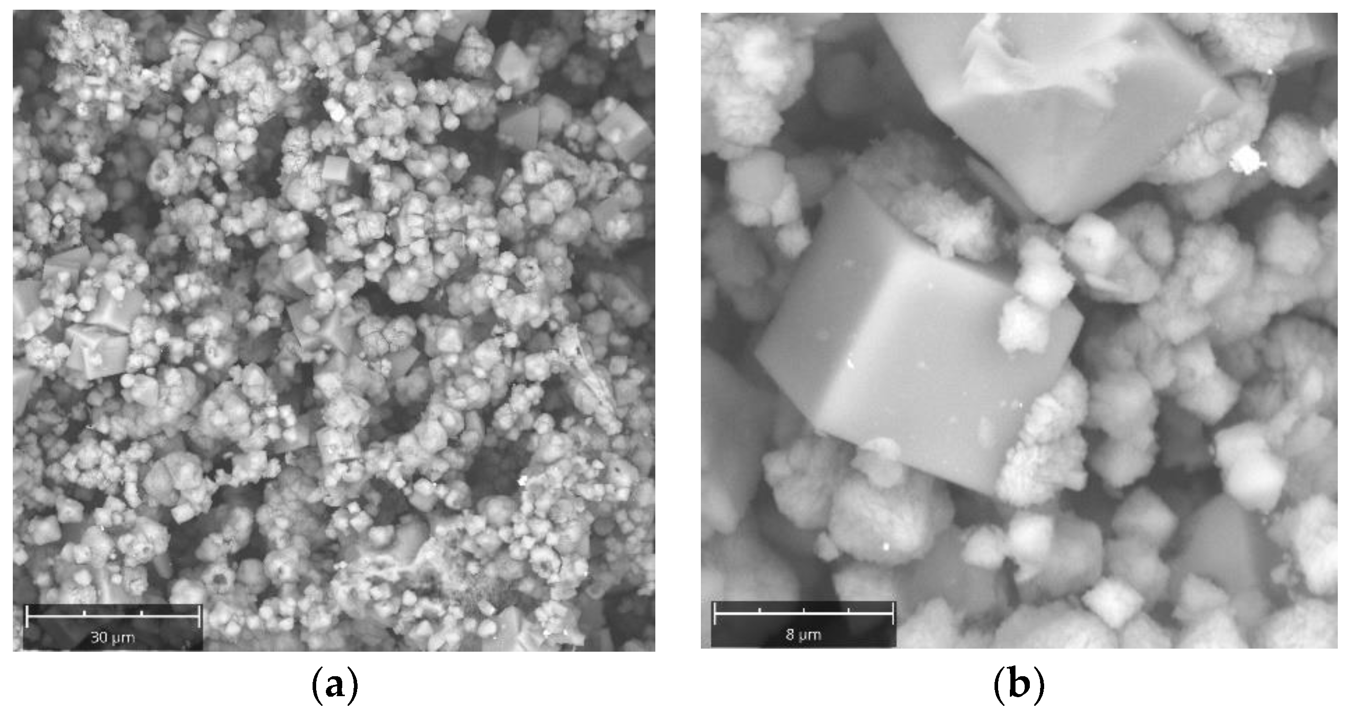 Molecules 29 04396 g006