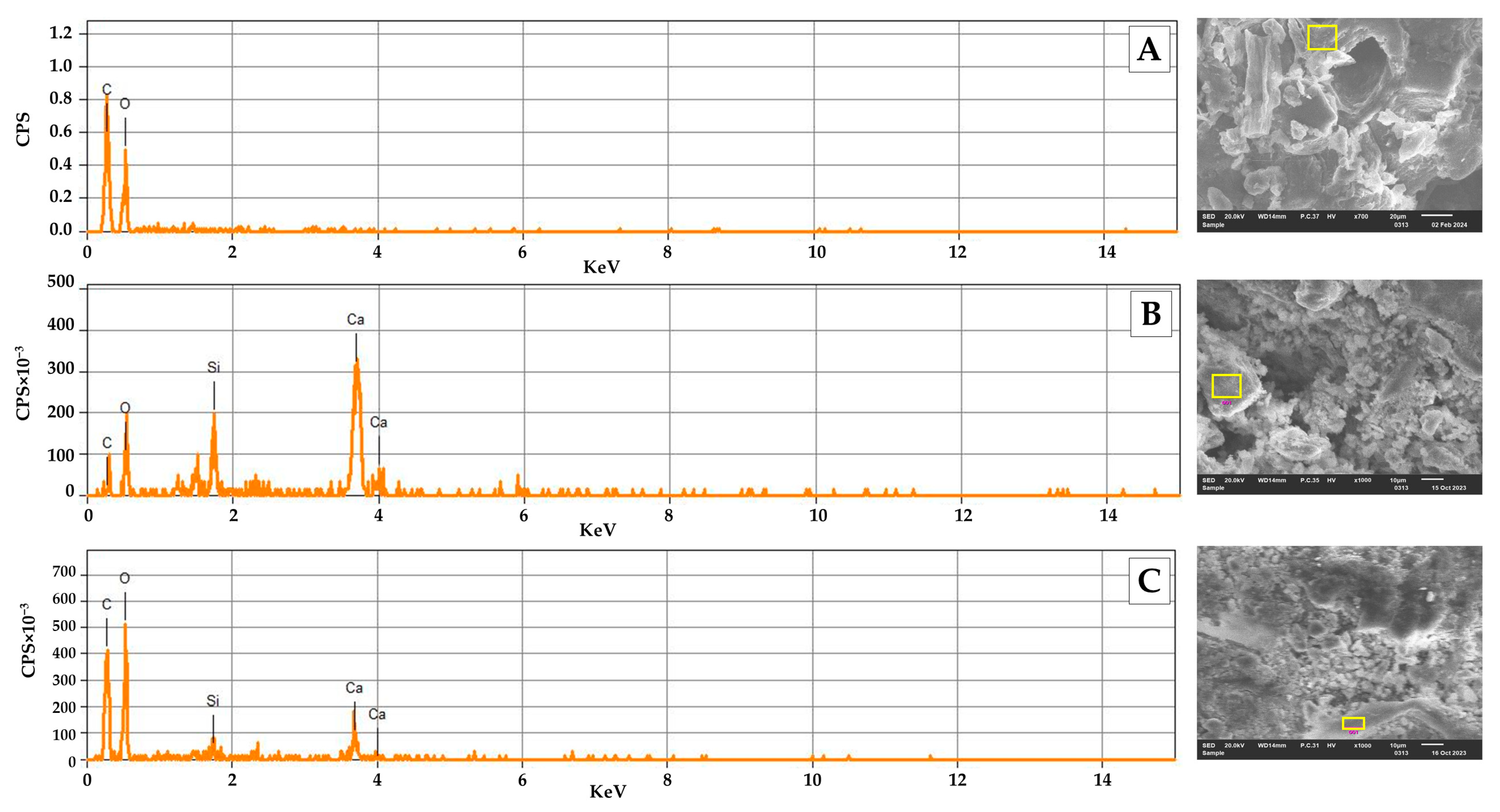 Molecules 29 04399 g005 Molecules 29 04399 g005