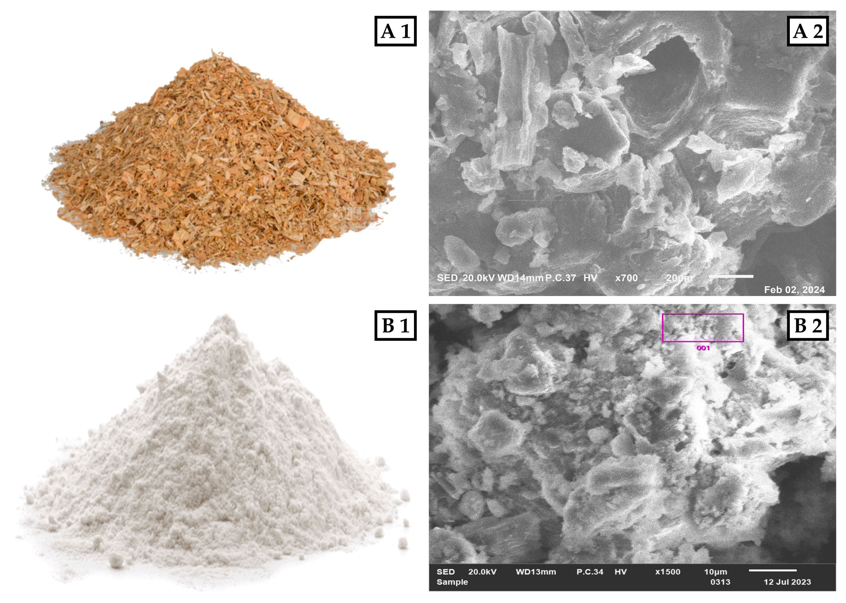 Molecules 29 04399 g008 Molecules 29 04399 g008