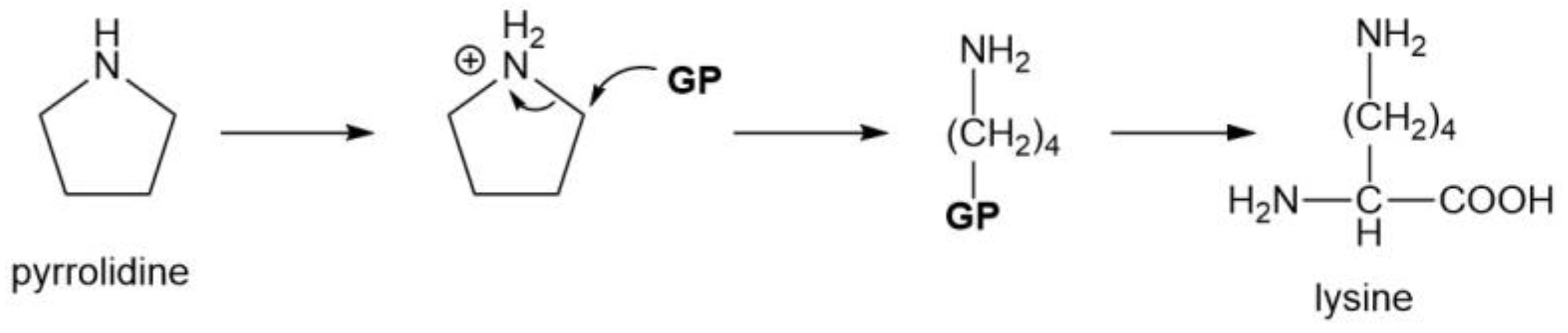 Molecules 29 04403 sch008