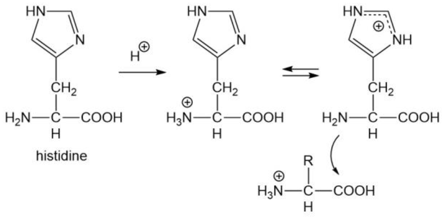 Molecules 29 04403 sch009