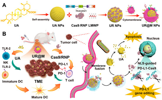 Targeted Drug Delivery Strategies for the Treatment of