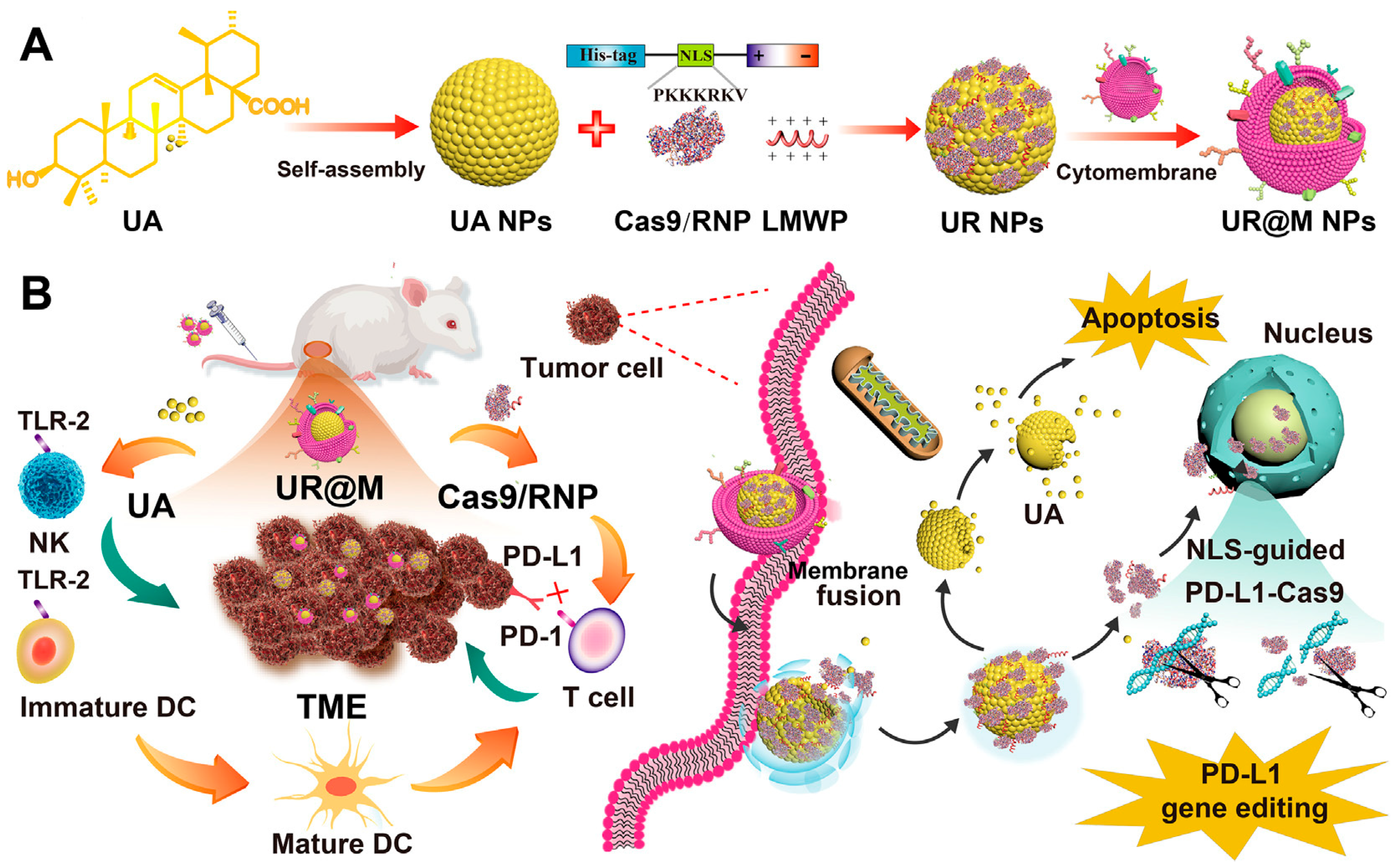 Molecules 29 04405 g002