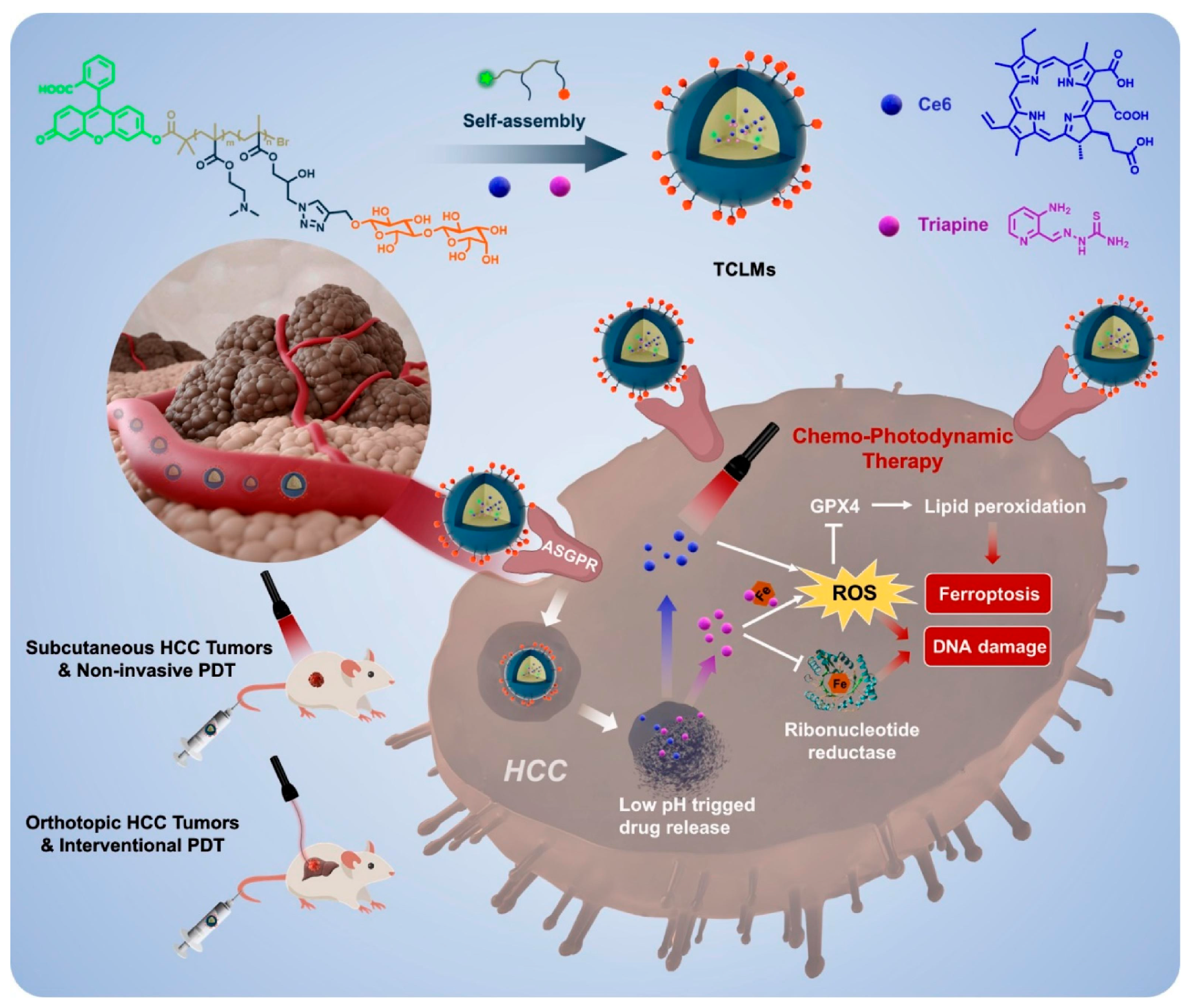 Molecules 29 04405 g003