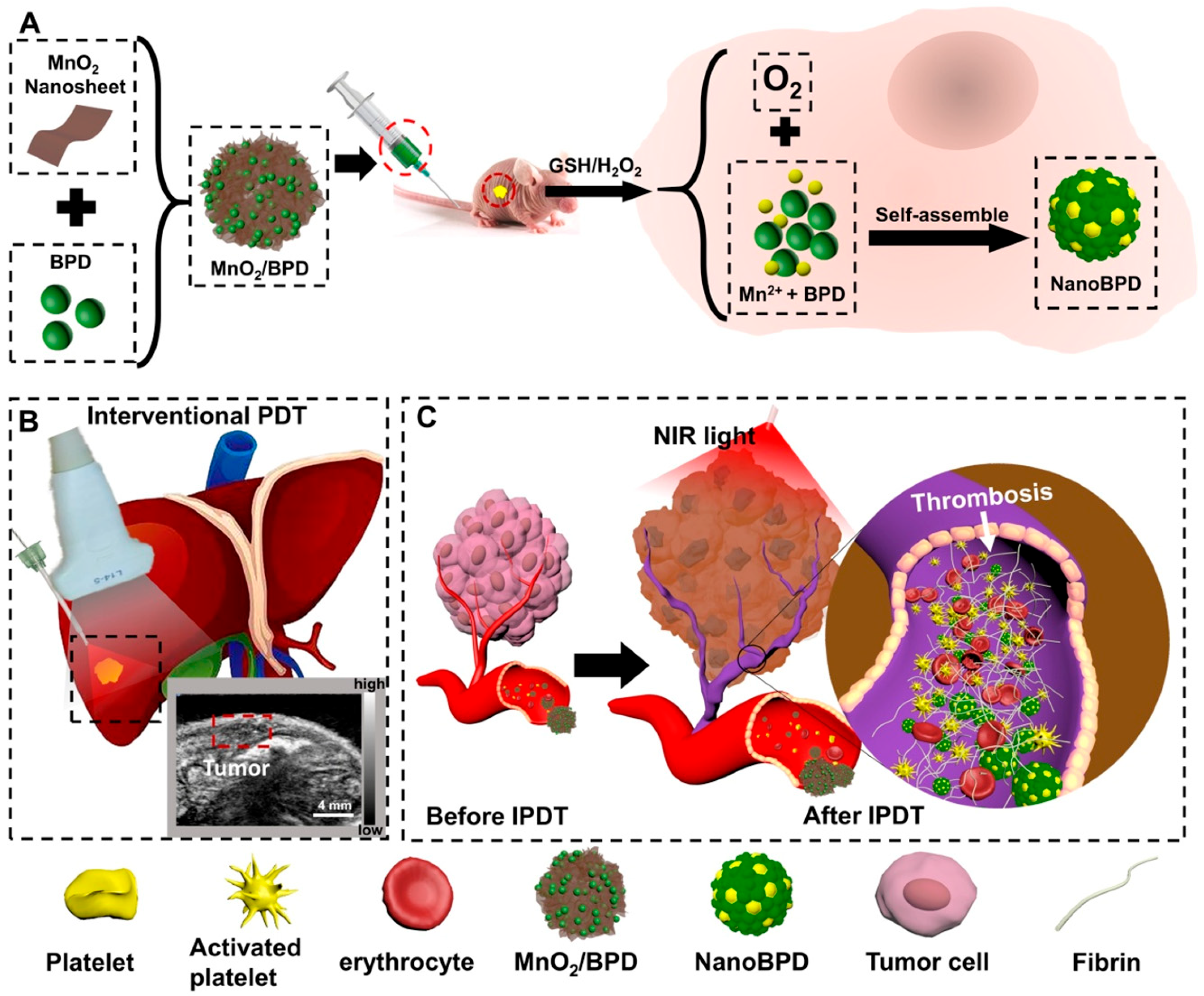 Molecules 29 04405 g004