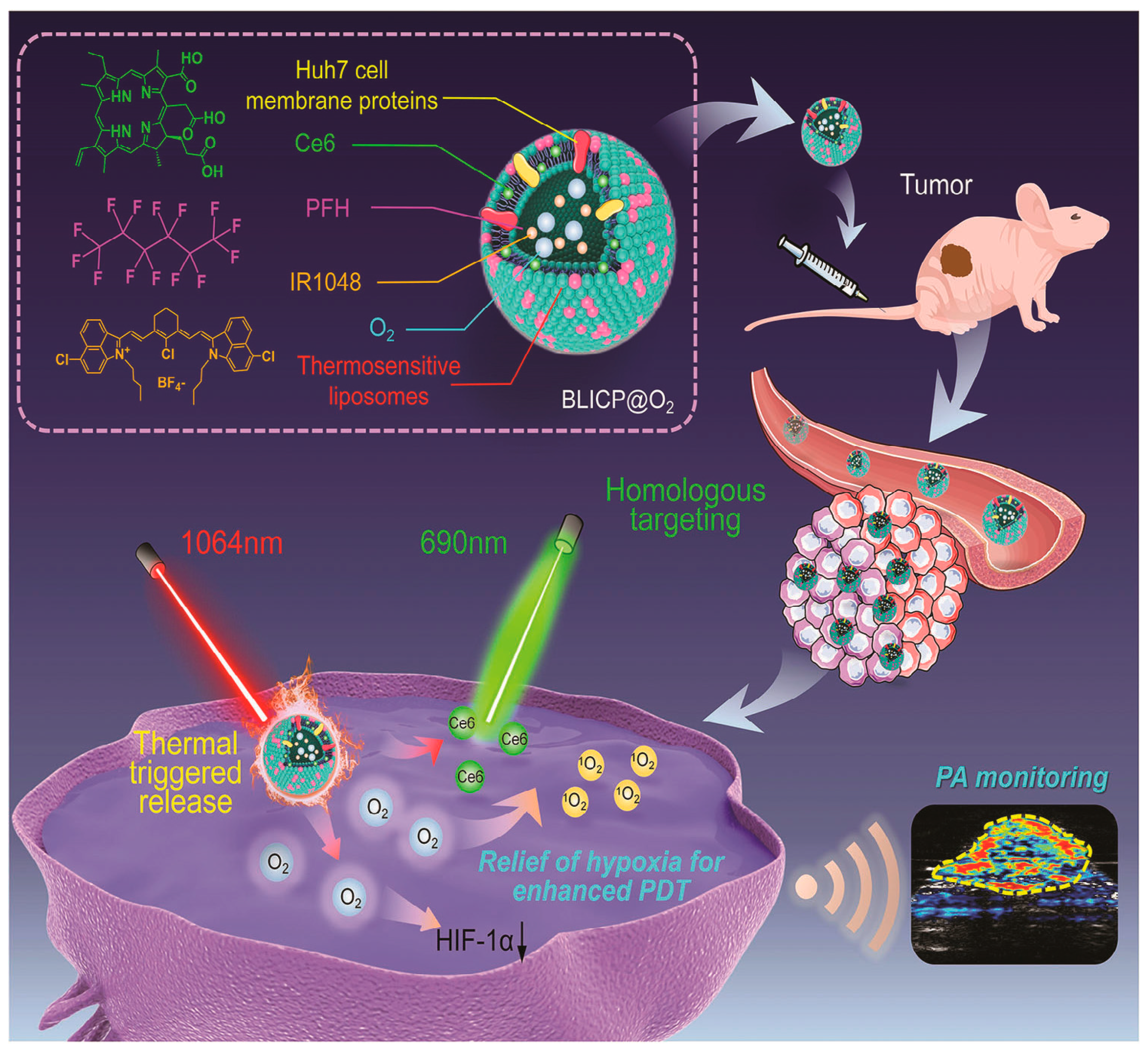 Molecules 29 04405 g005