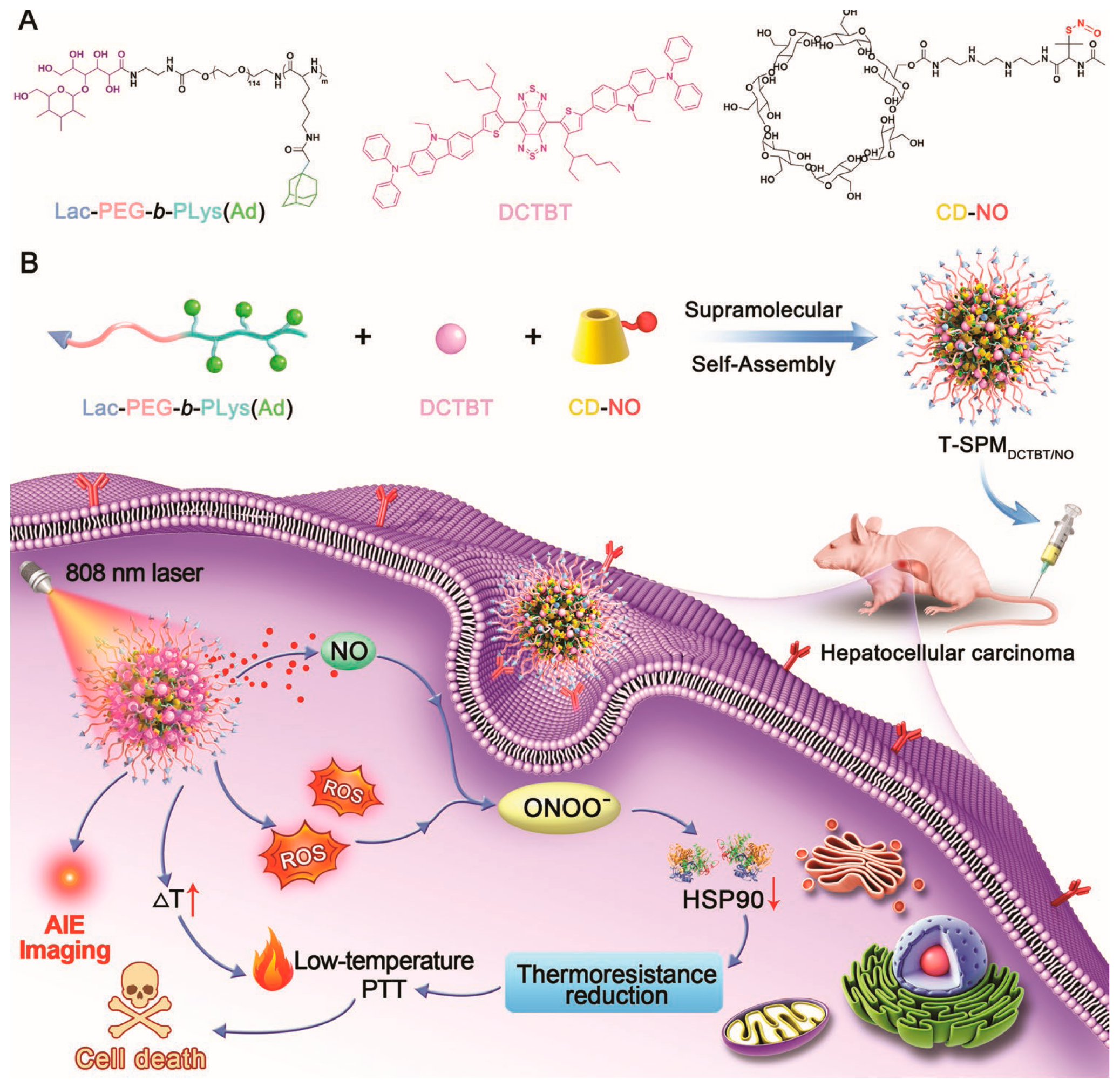 Molecules 29 04405 g006