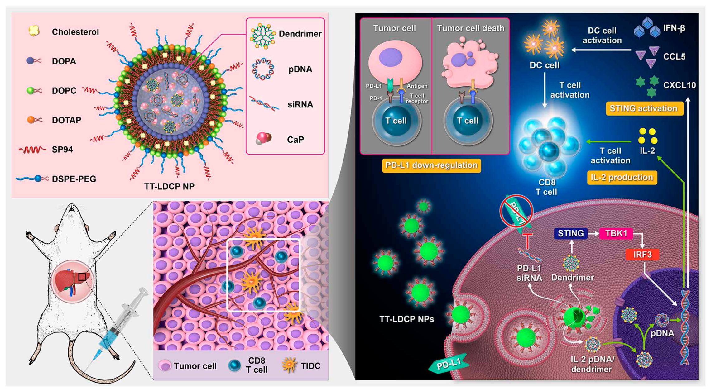 Molecules 29 04405 g007