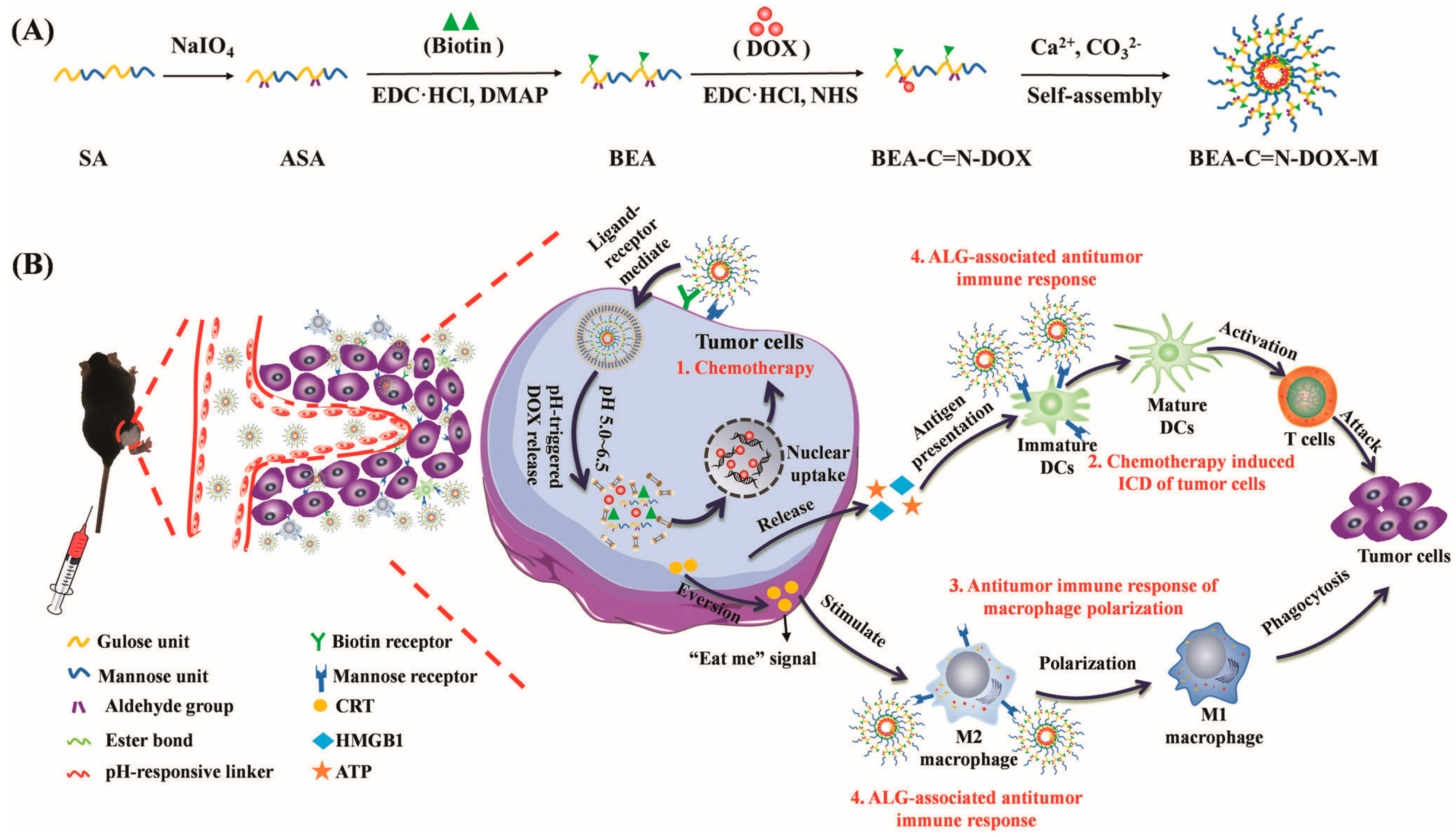 Molecules 29 04405 g008