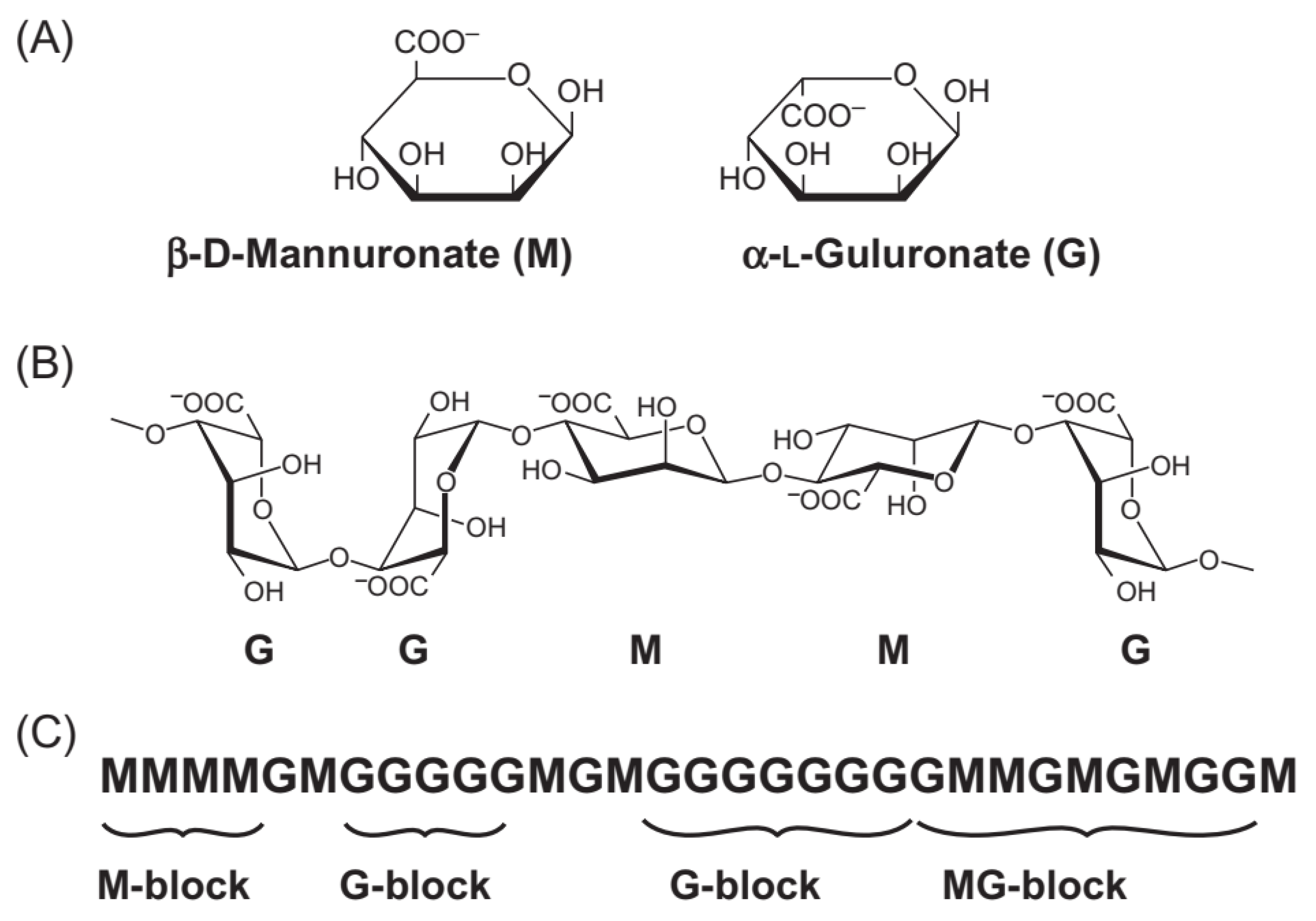 Molecules 29 04406 g001