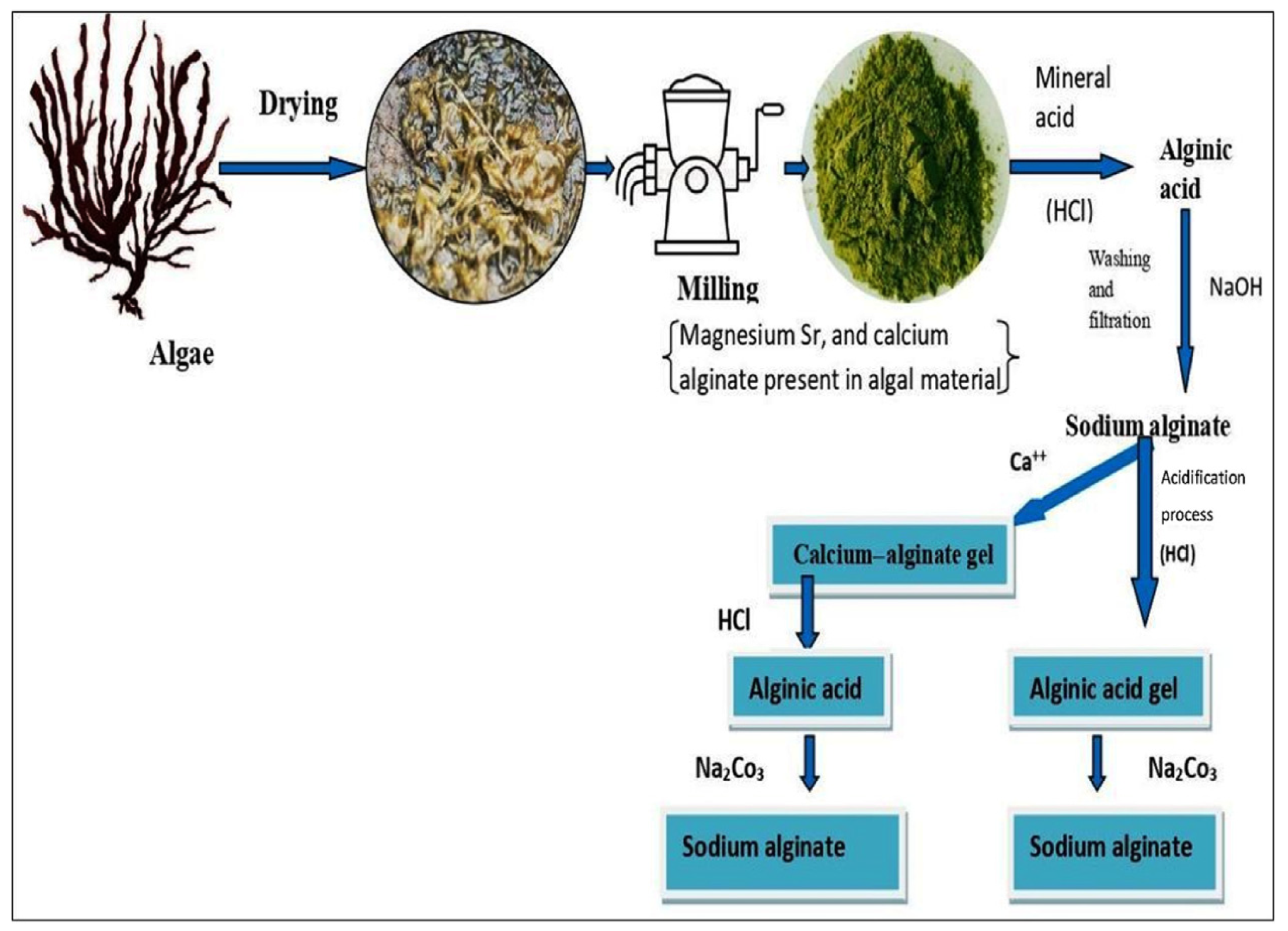 Molecules 29 04406 g002